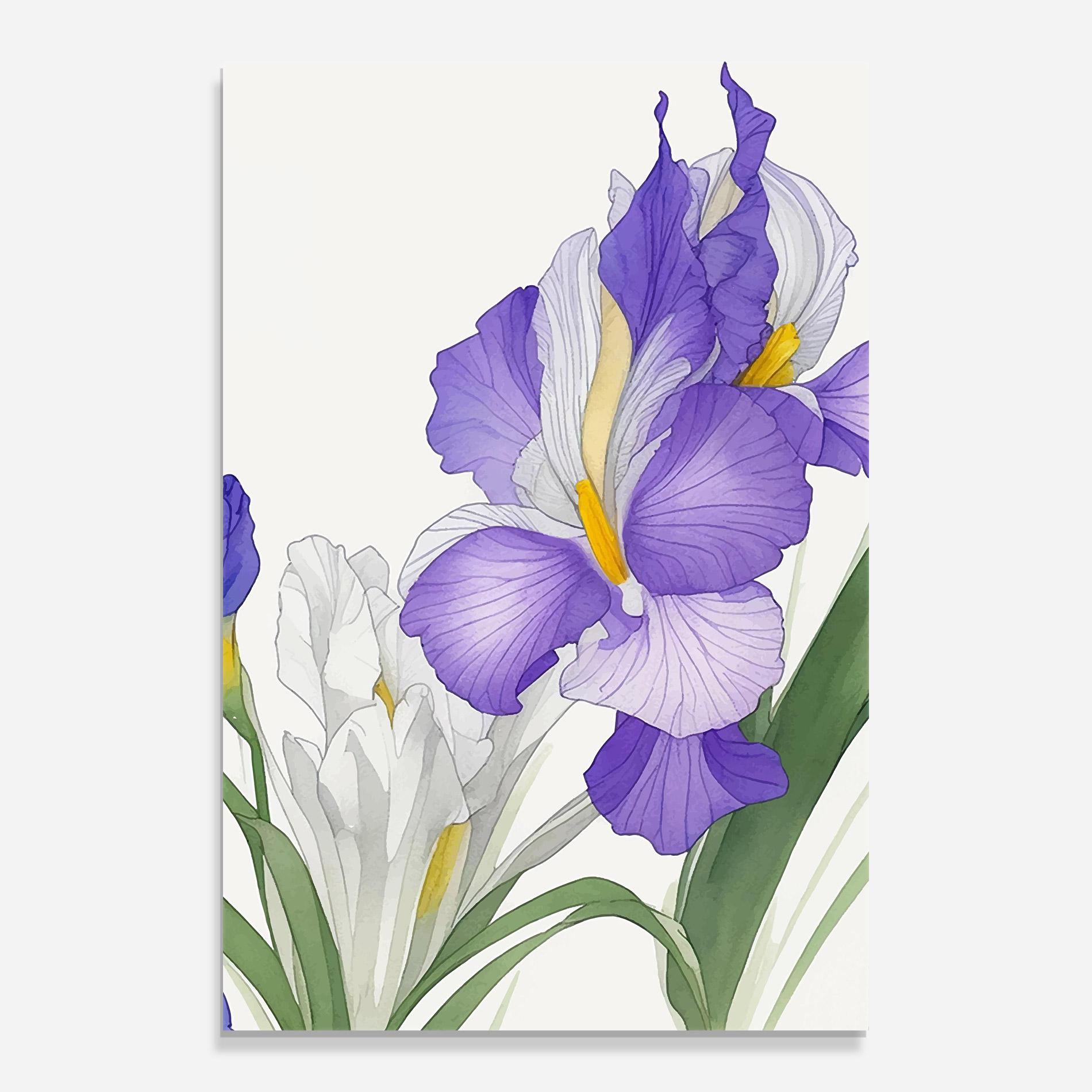 Glasbild Irirs Hand Drawn mockup 0
