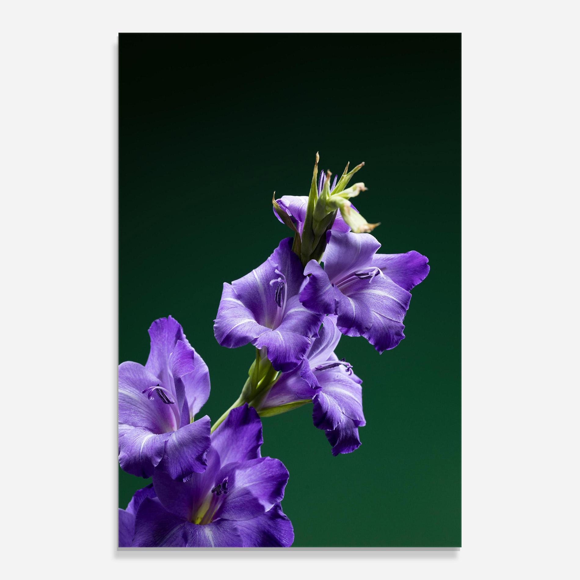 Glasbild Iris On Green mockup 0