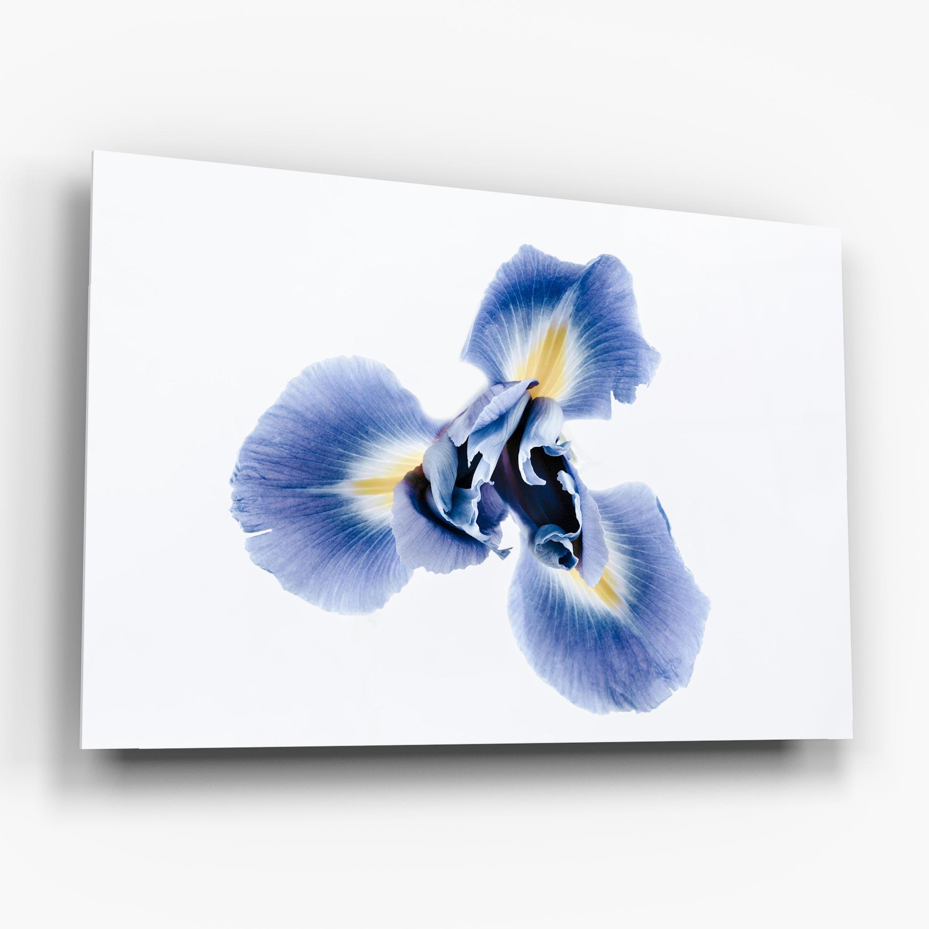 Glasbild Iris Flower mockup 6