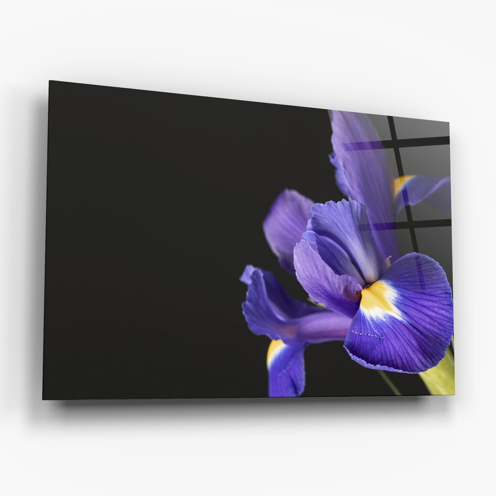 Glasbild Iris On Black mockup 6
