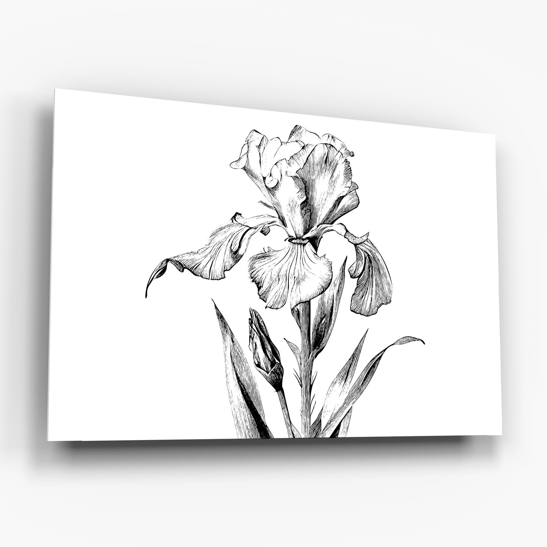 Glasbild Iris Sketch mockup 6