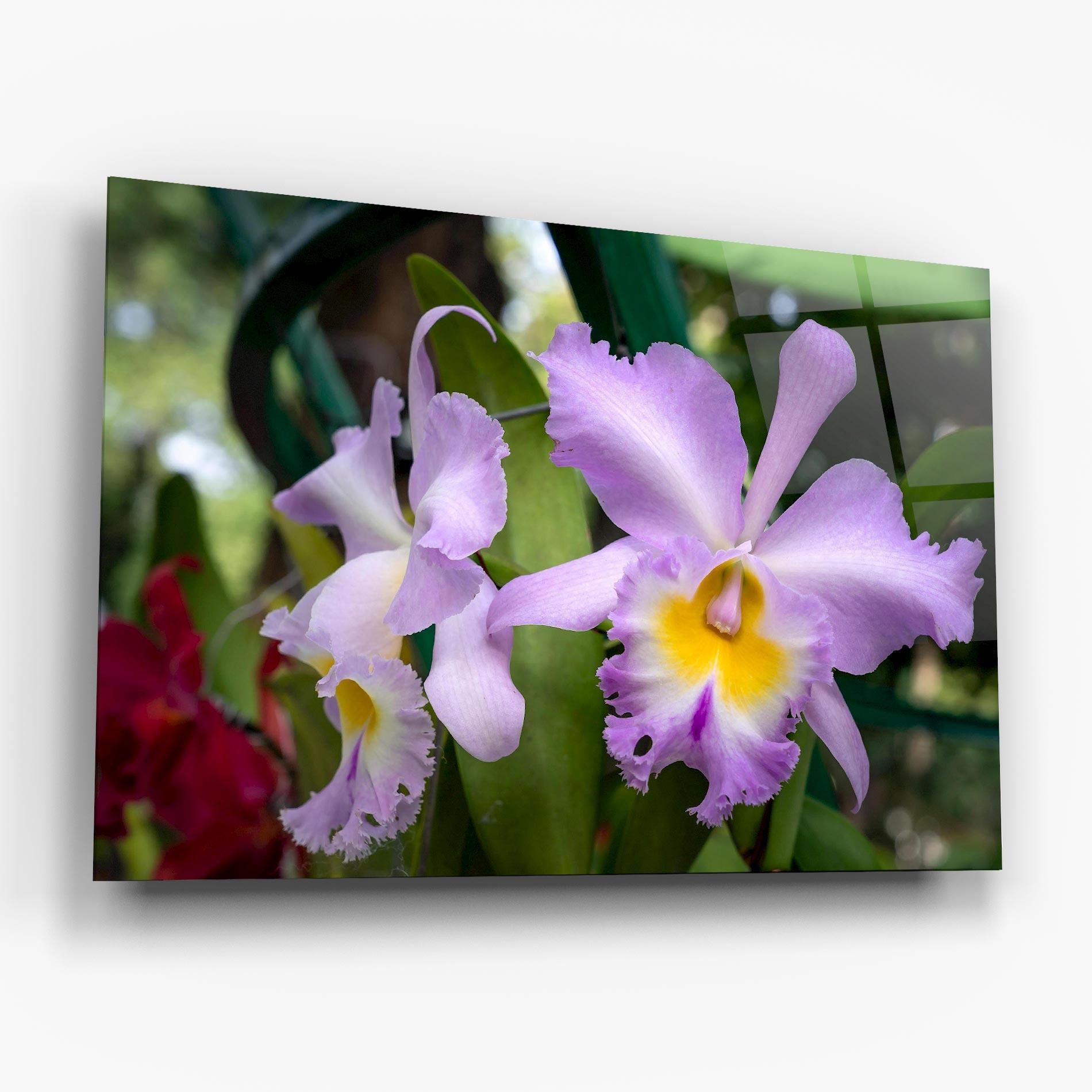 Glasbild Light Purple Iris mockup 6
