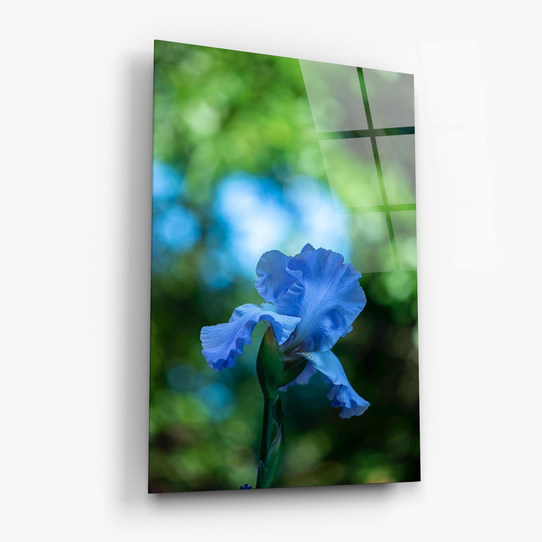 Glasbild Blue Iris In The Garden mockup 6