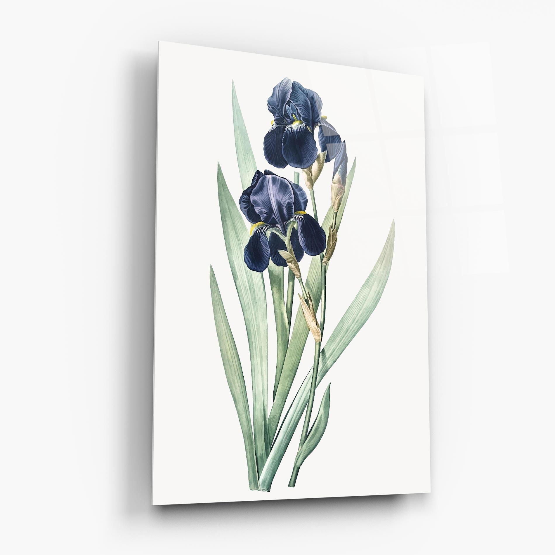 Glasbild Dark Blue Iris mockup 6