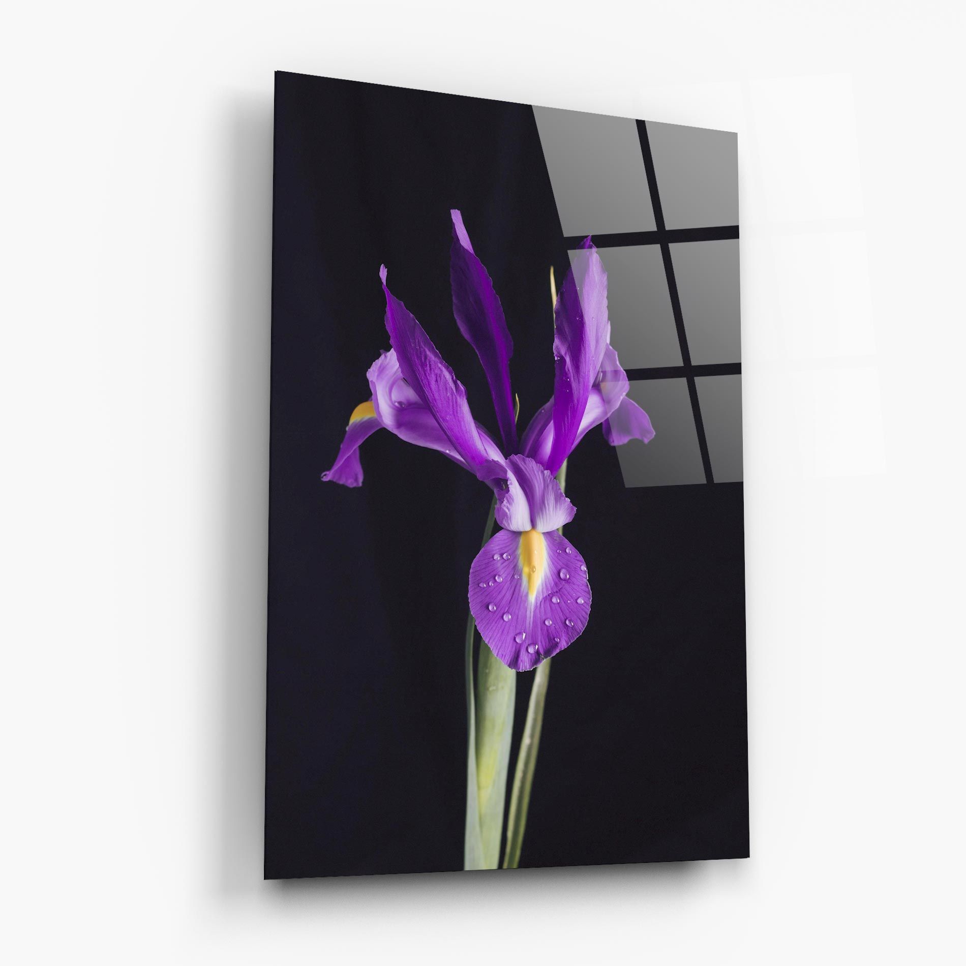 Fresh Purple Iris mockup 6