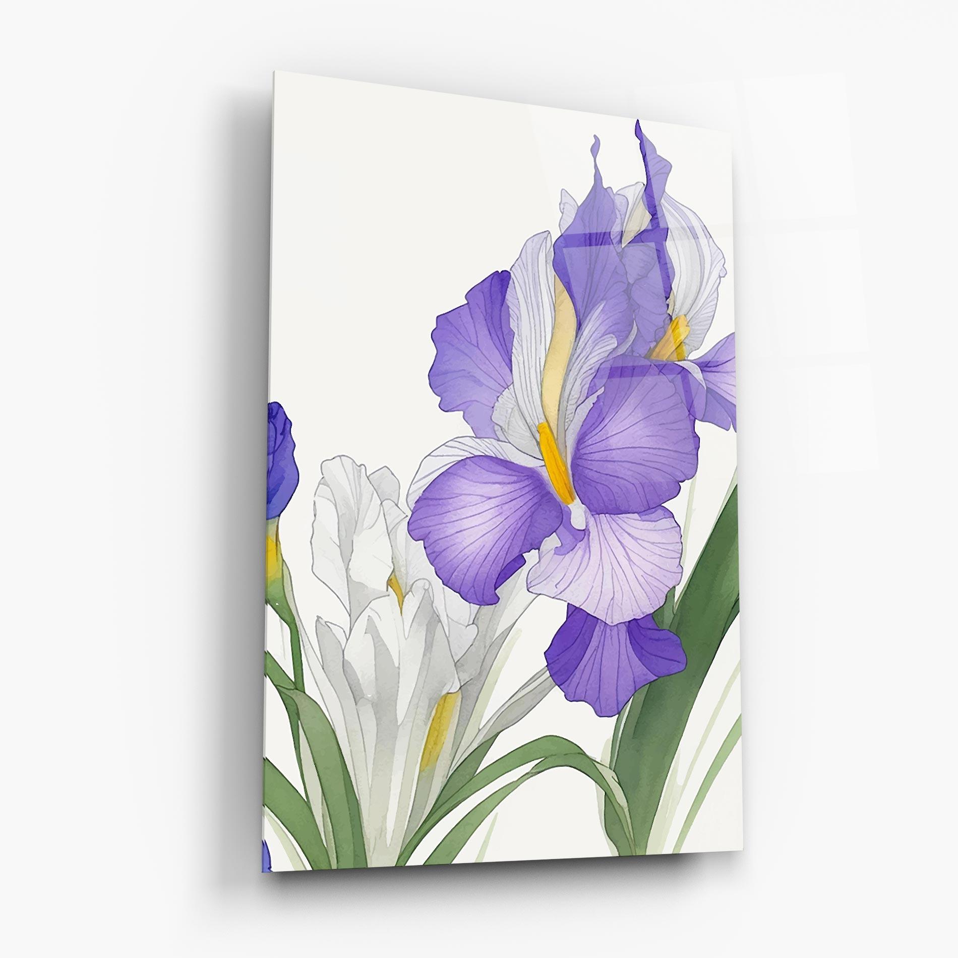 Glasbild Irirs Hand Drawn mockup 6