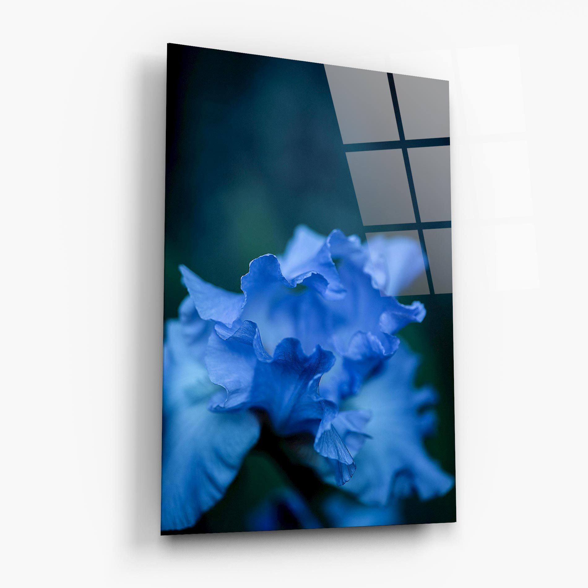 Ocean Blue Iris mockup 6