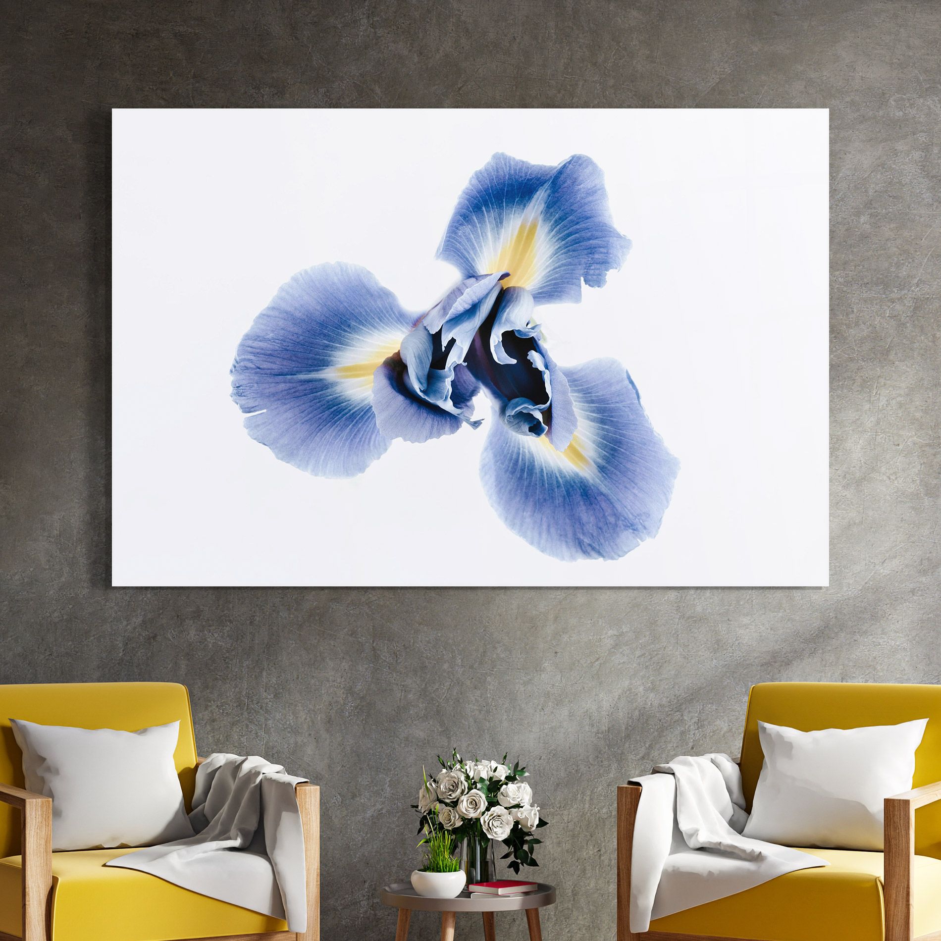 Iris Flower mockup 4
