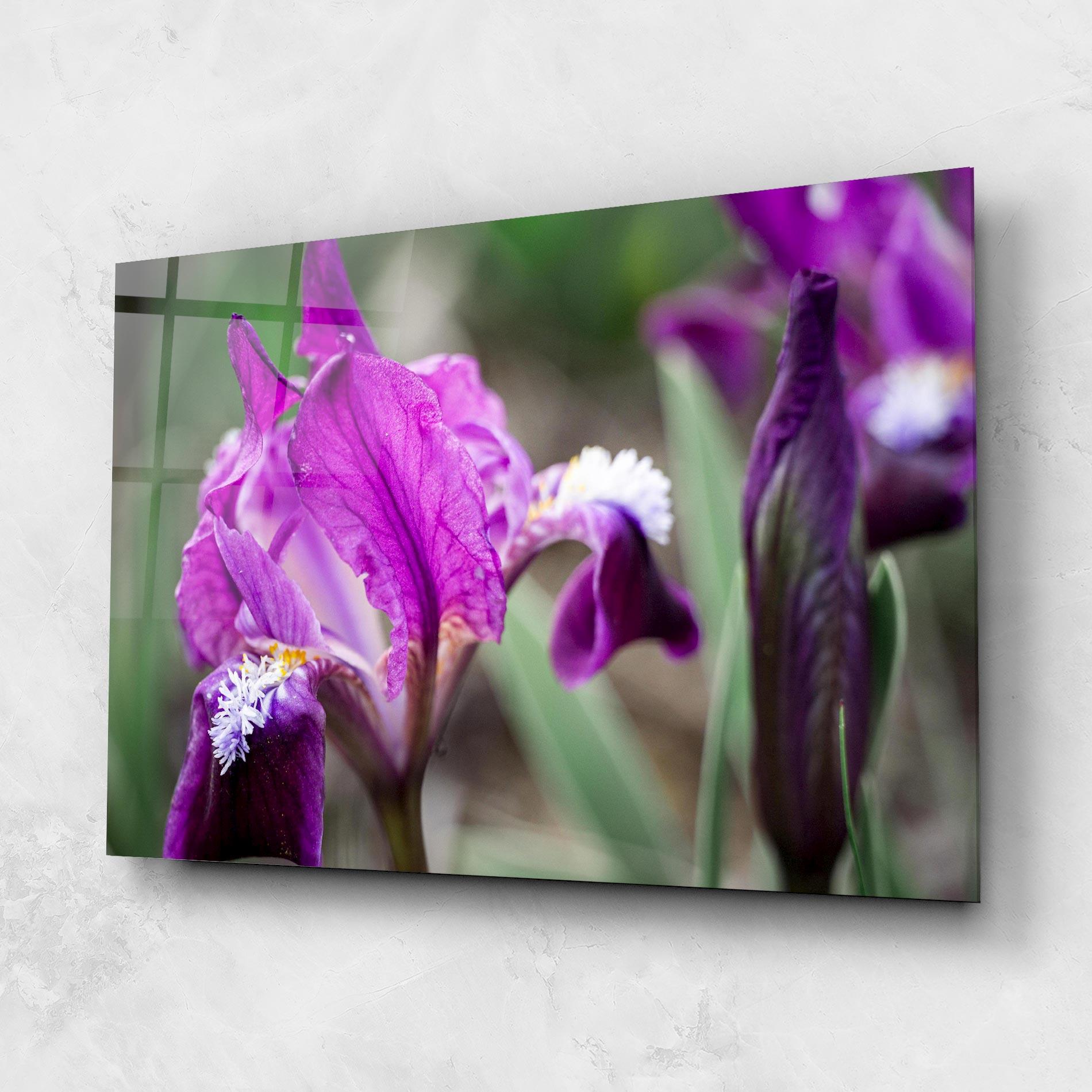 Glasbild Dark Pink Iris mockup 1