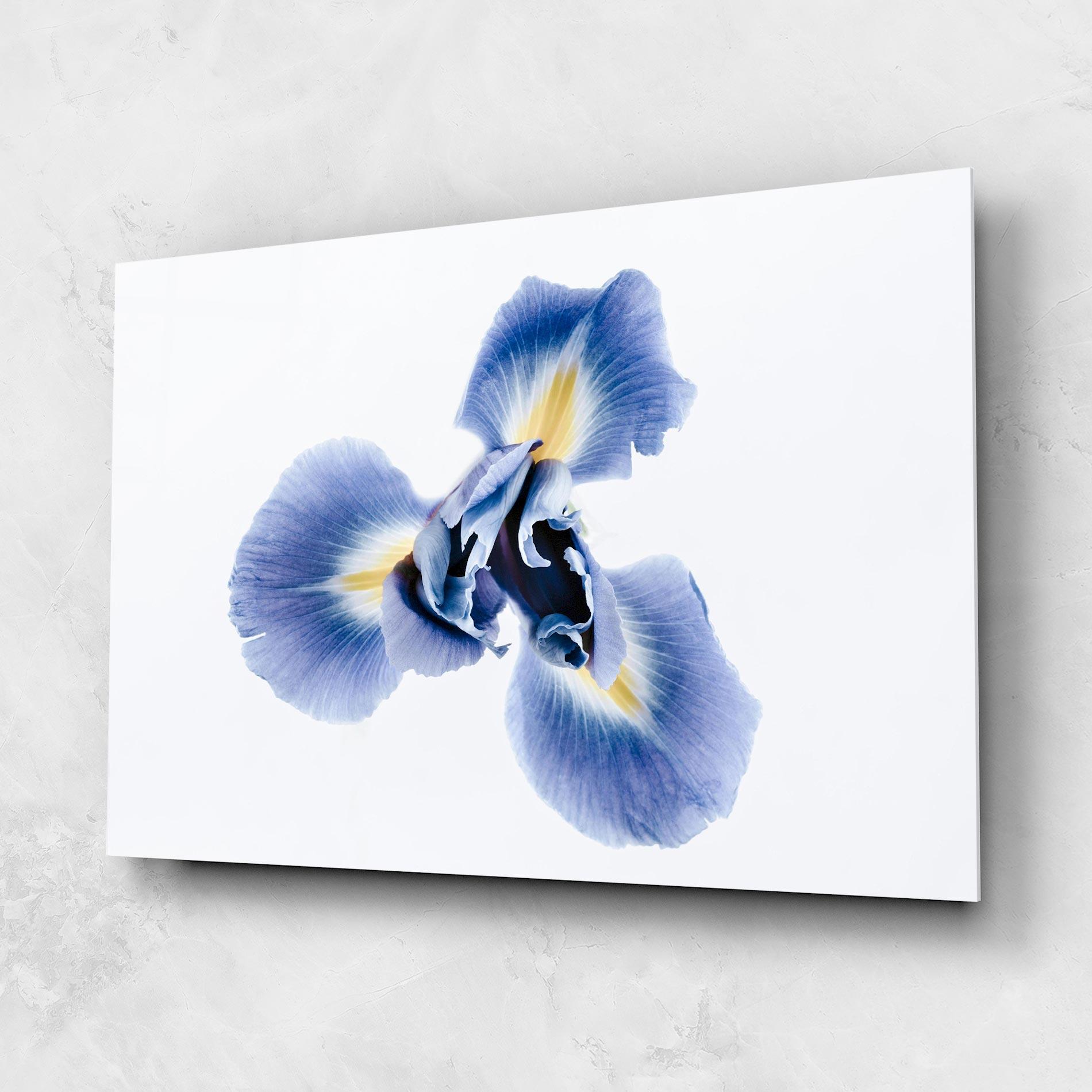 Glasbild Iris Flower mockup 1
