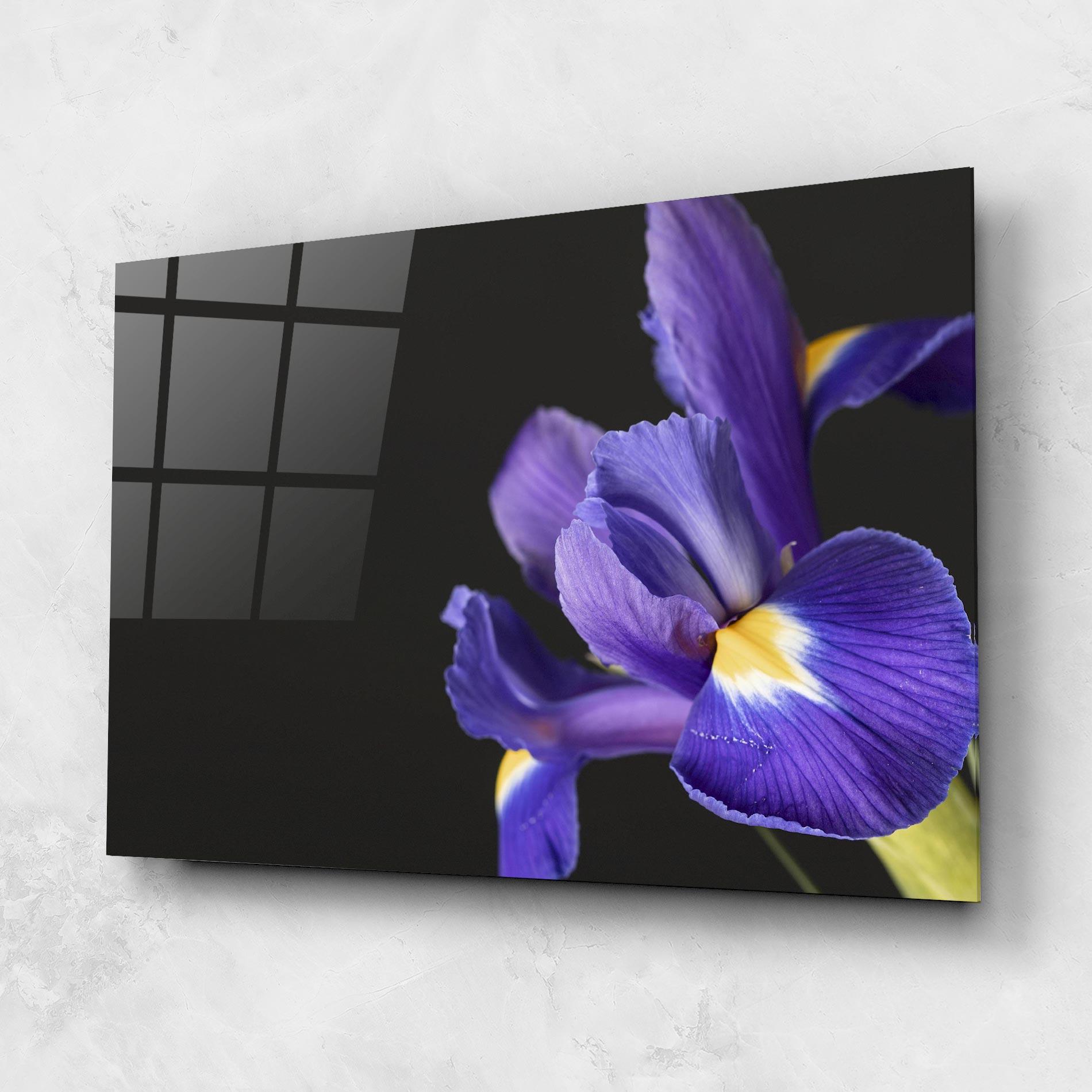 Glasbild Iris On Black mockup 1