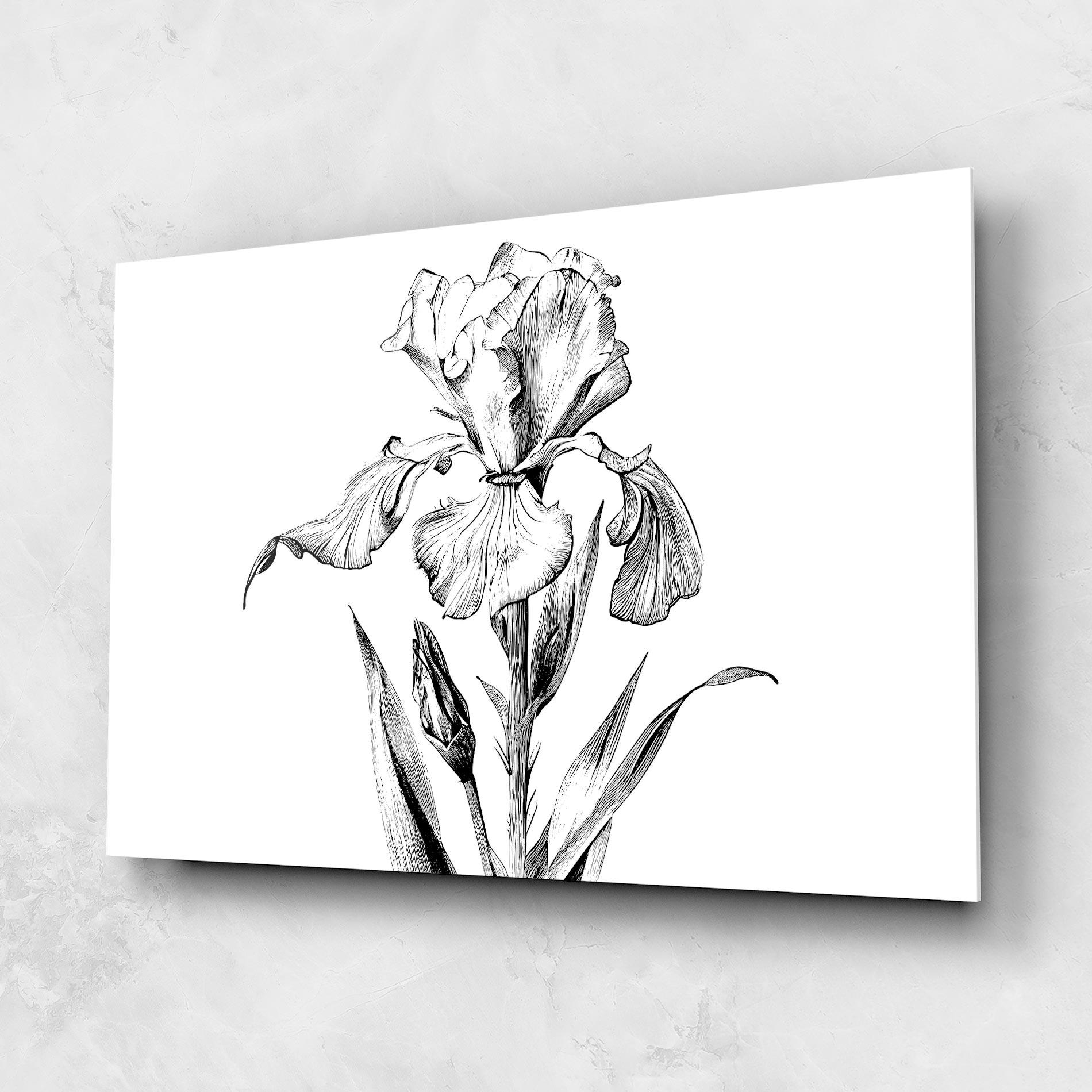Glasbild Iris Sketch mockup 1