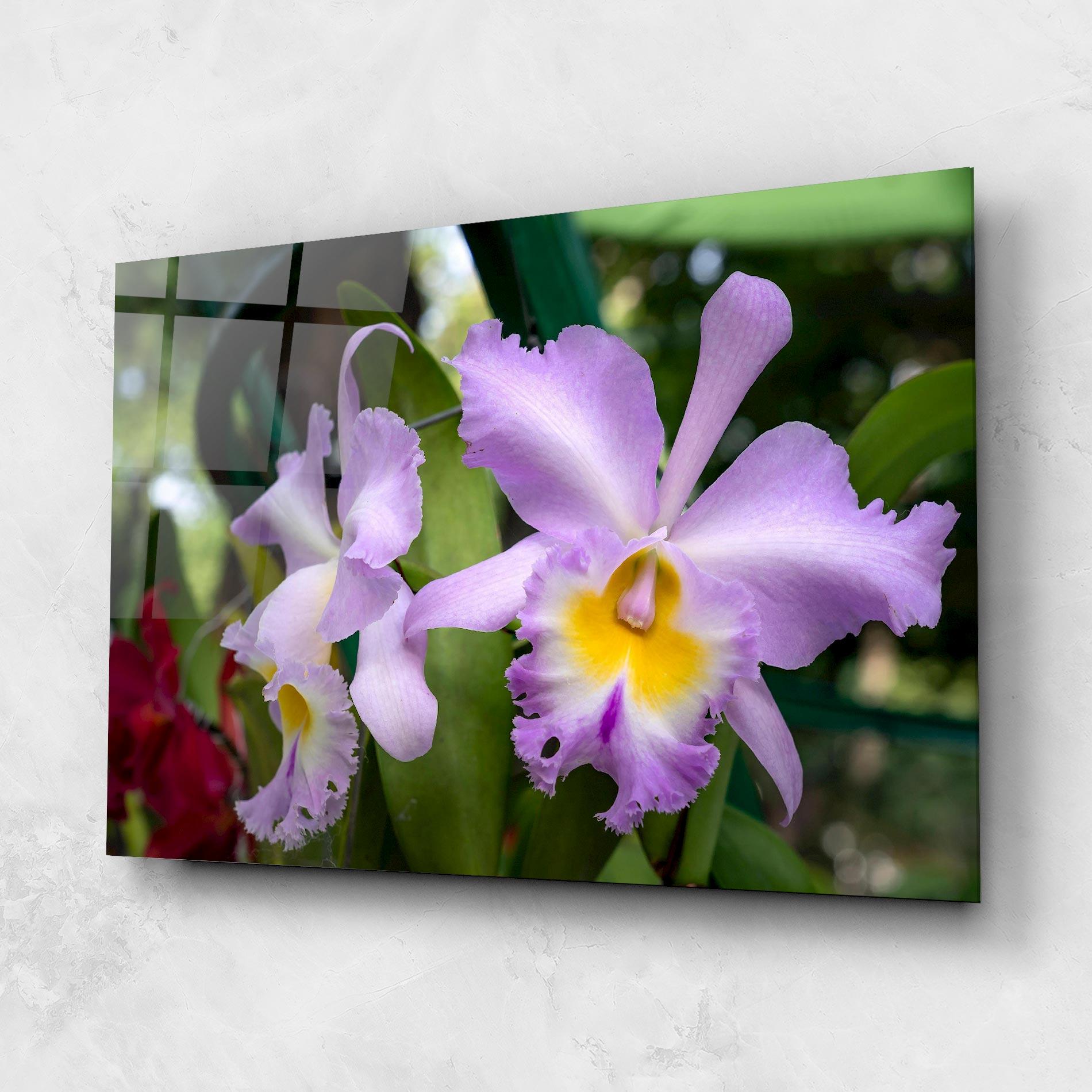 Glasbild Light Purple Iris mockup 1