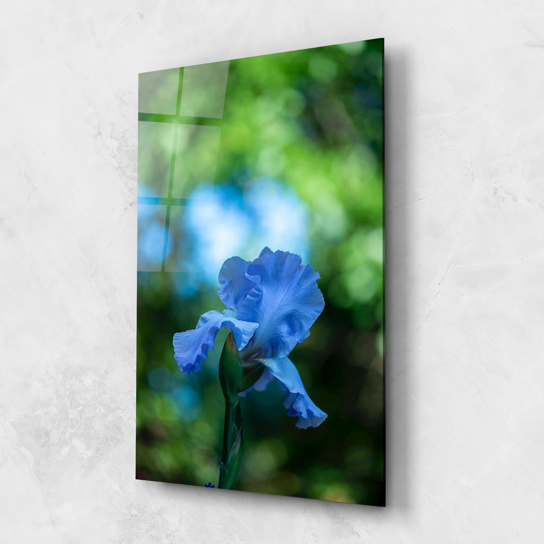Blue Iris In The Garden mockup 1