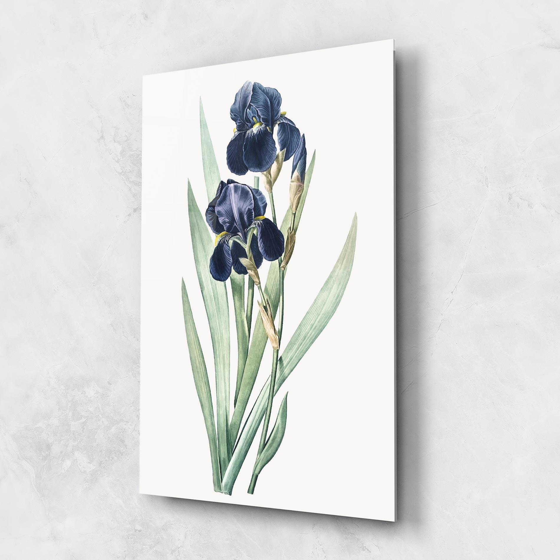Glasbild Dark Blue Iris mockup 1