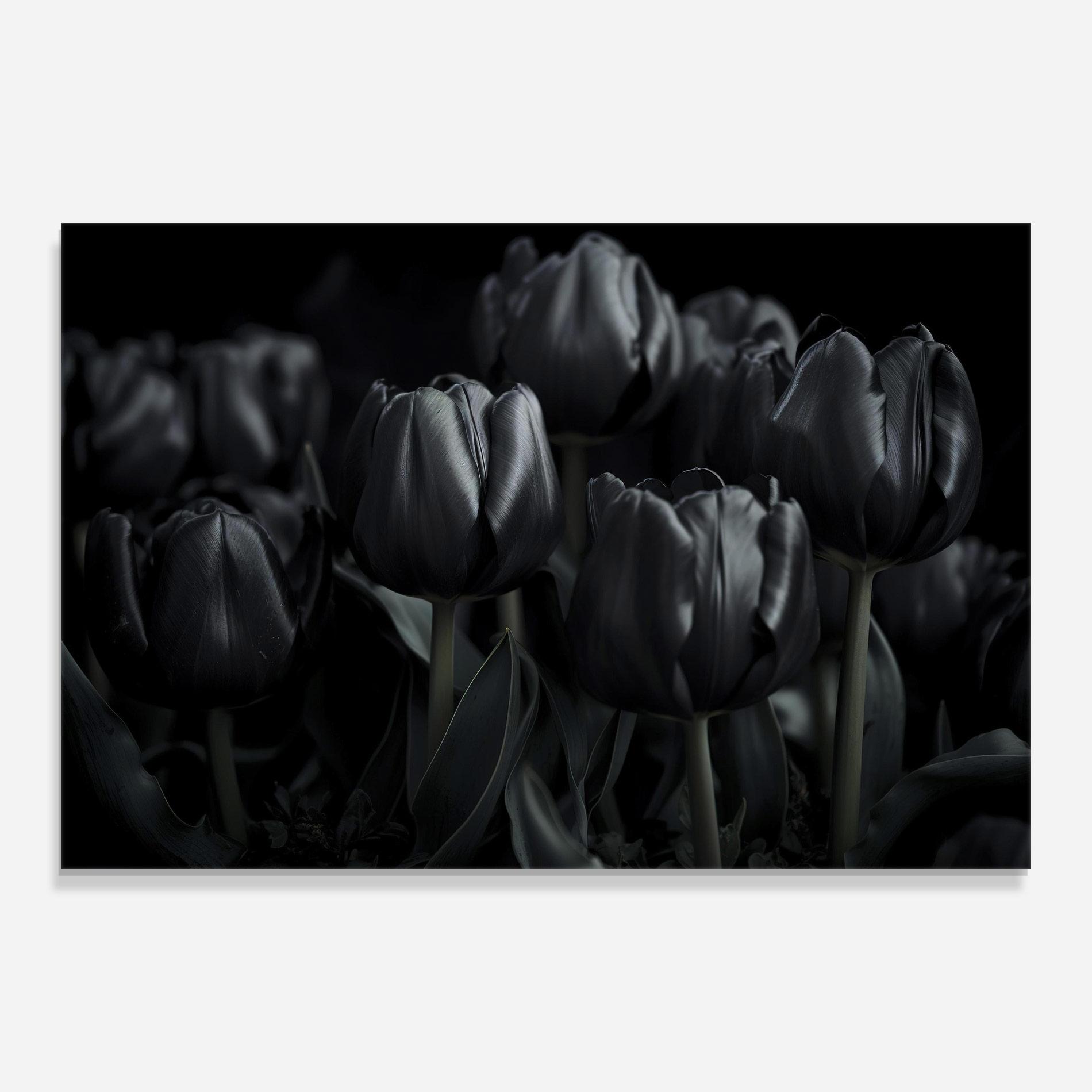 Glasbild Black Tulips mockup 0