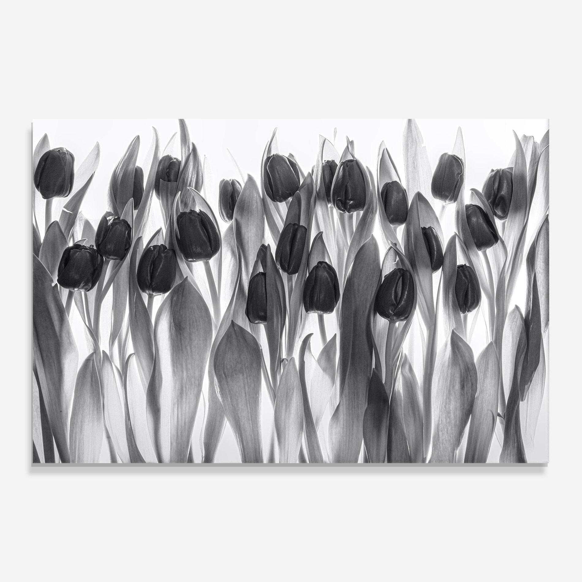 Glasbild Grey Tulips mockup 0