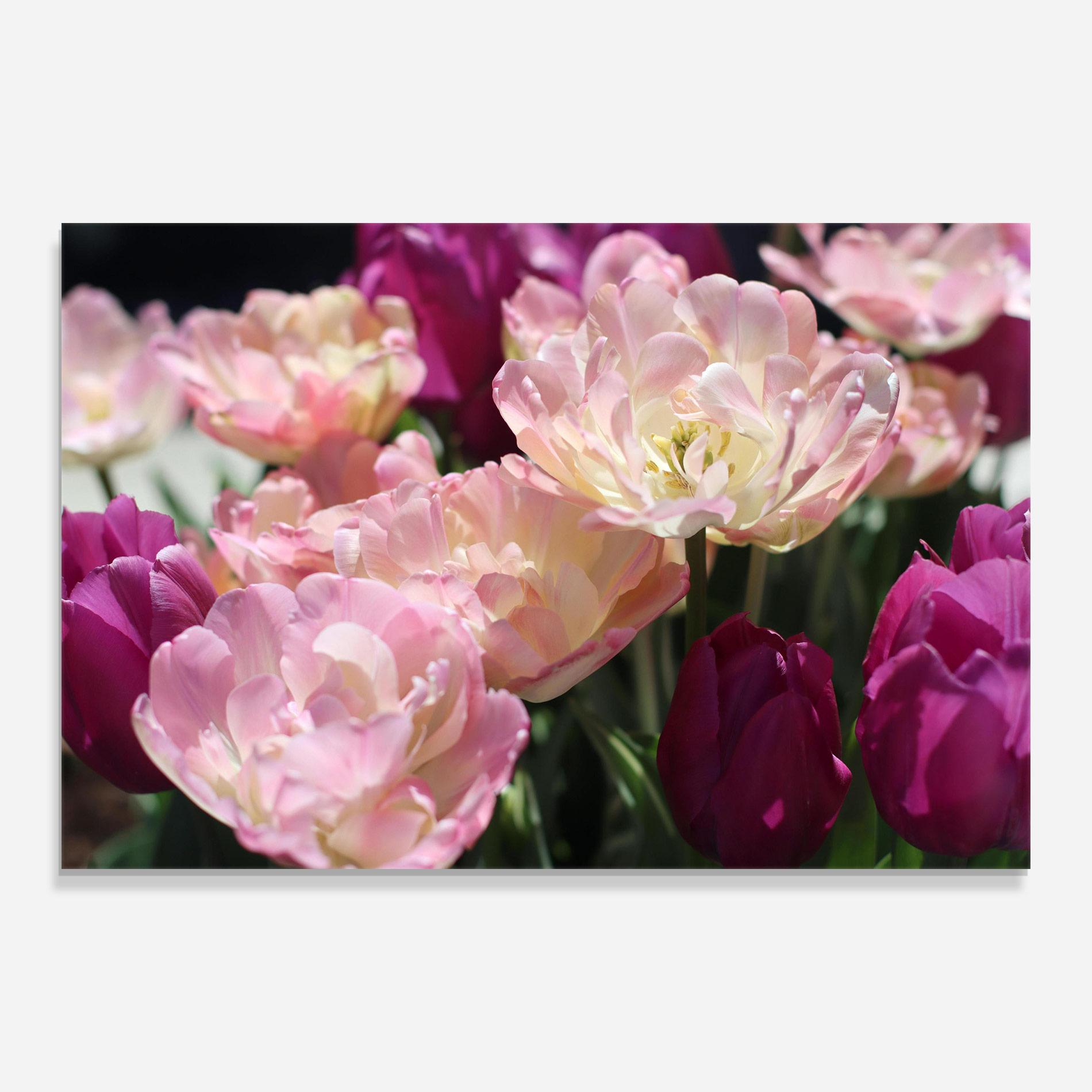 Glasbild Opened Tulips mockup 0