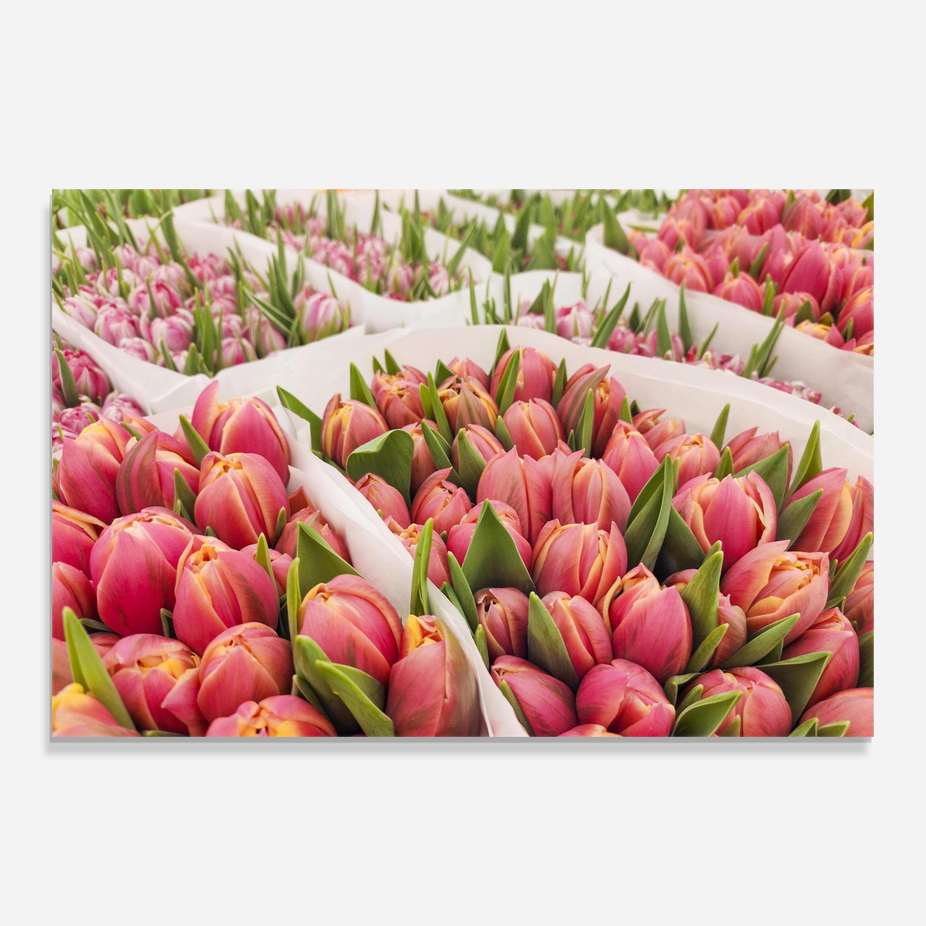 Glasbild Pretty Pink Tulips Bouquet mockup 0