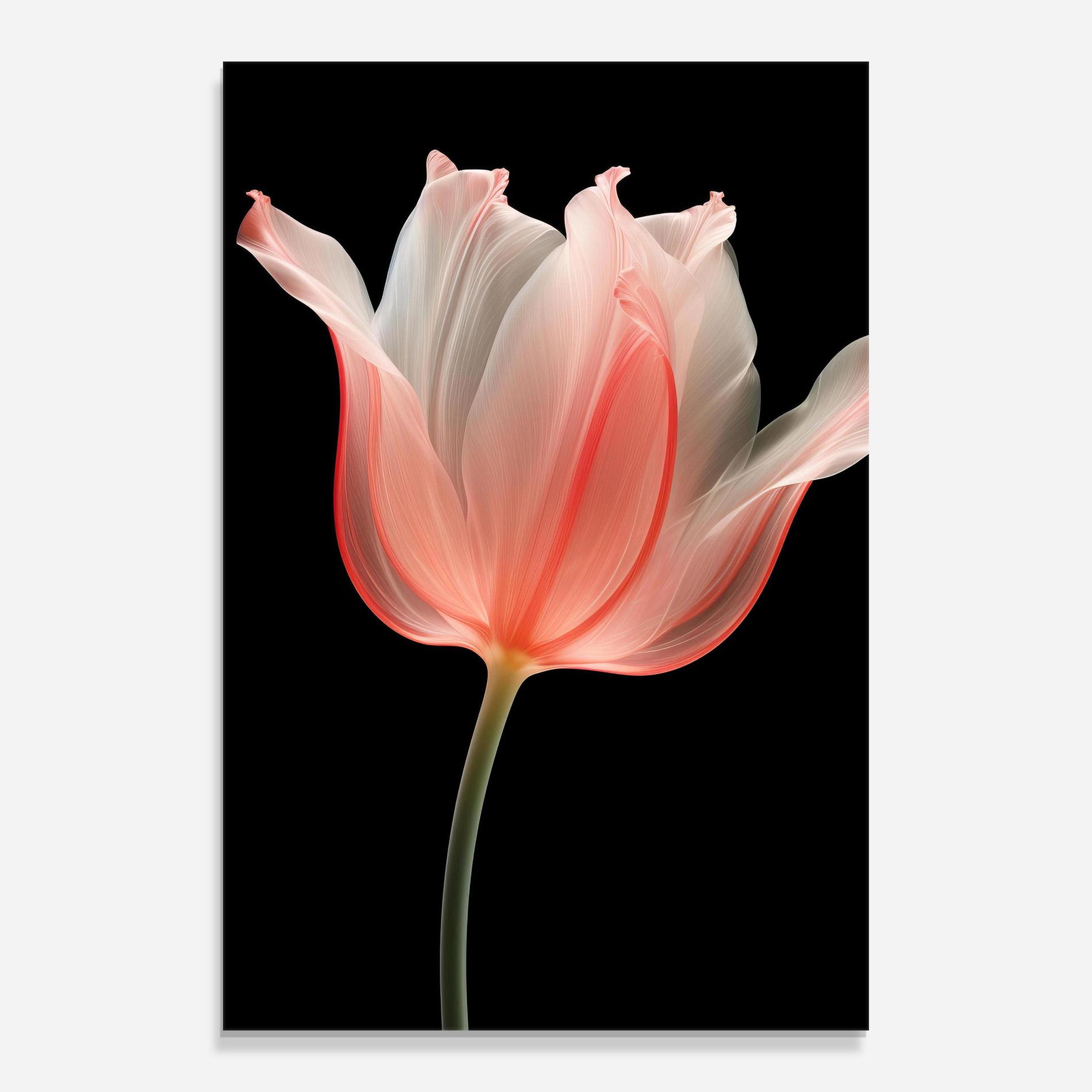 Glasbild Pastel Pink Tulip mockup 0