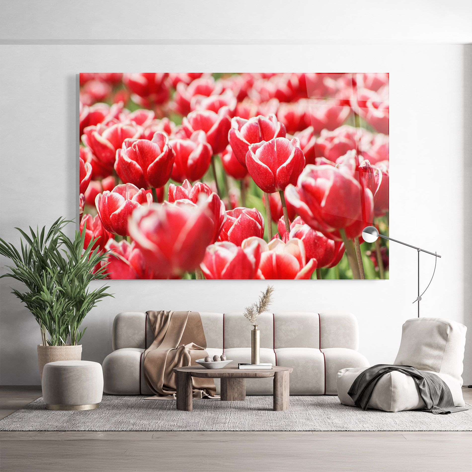 Red White Tulips mockup 9