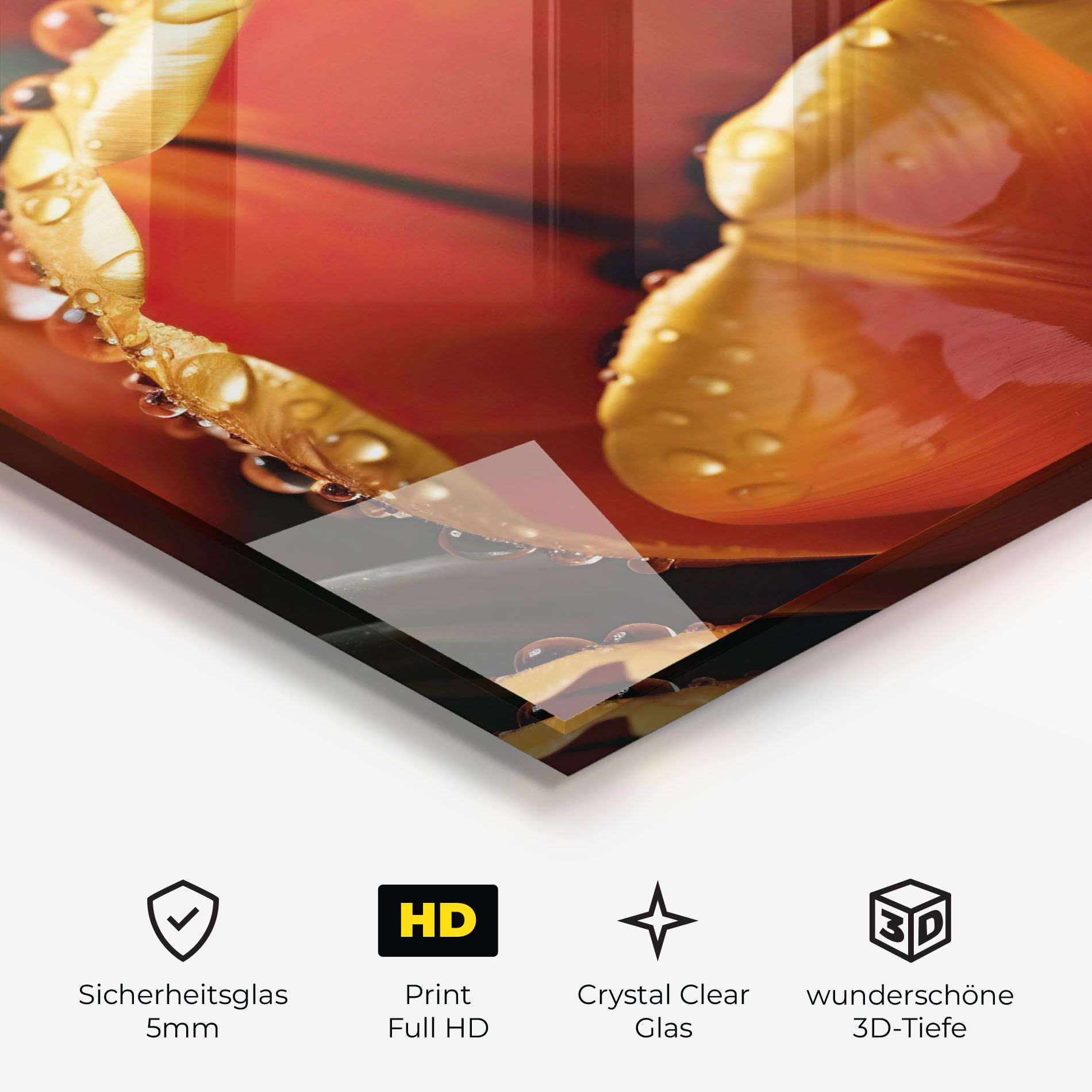 Orange Tulip Water Drops mockup 3