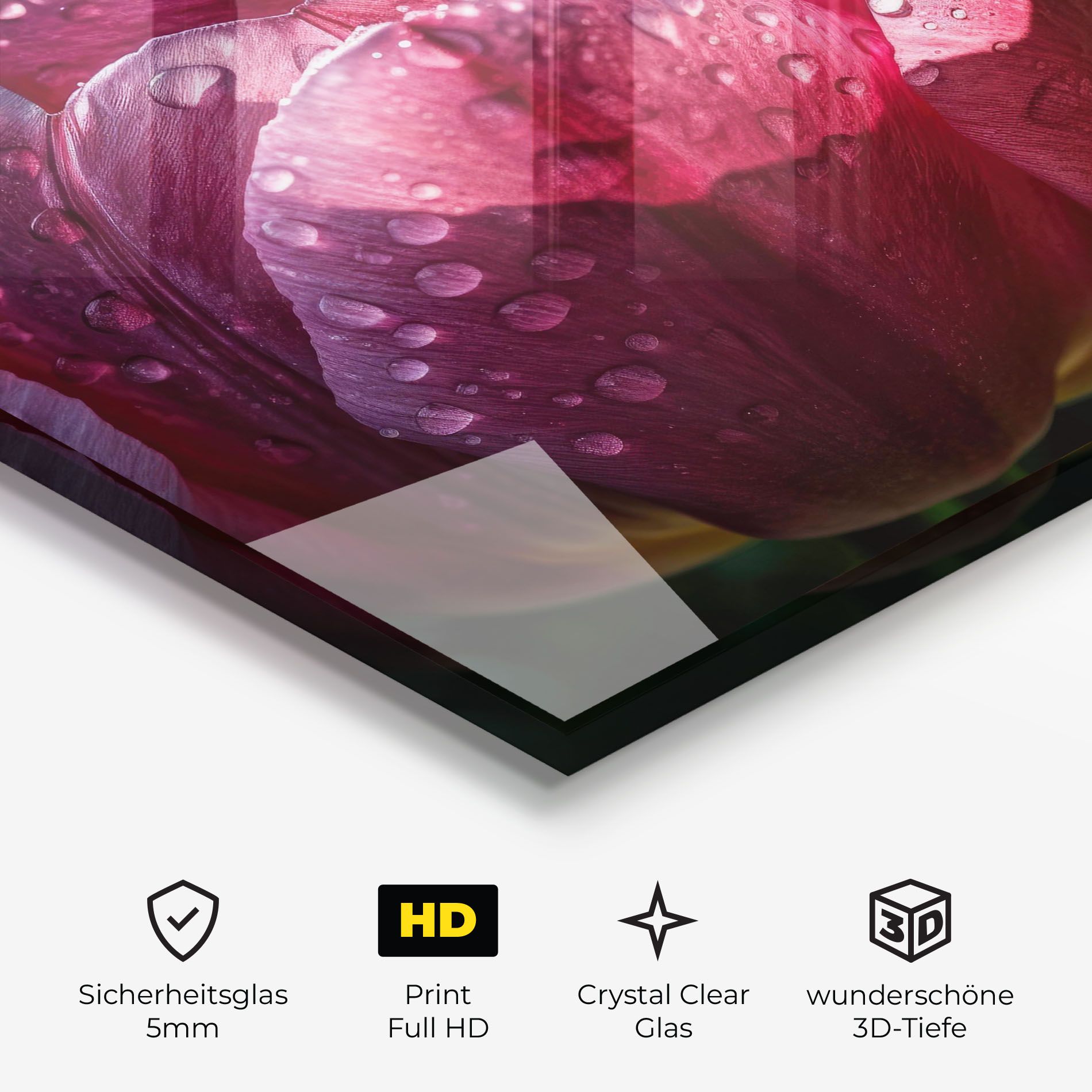 Pink Tulip After Rain mockup 3