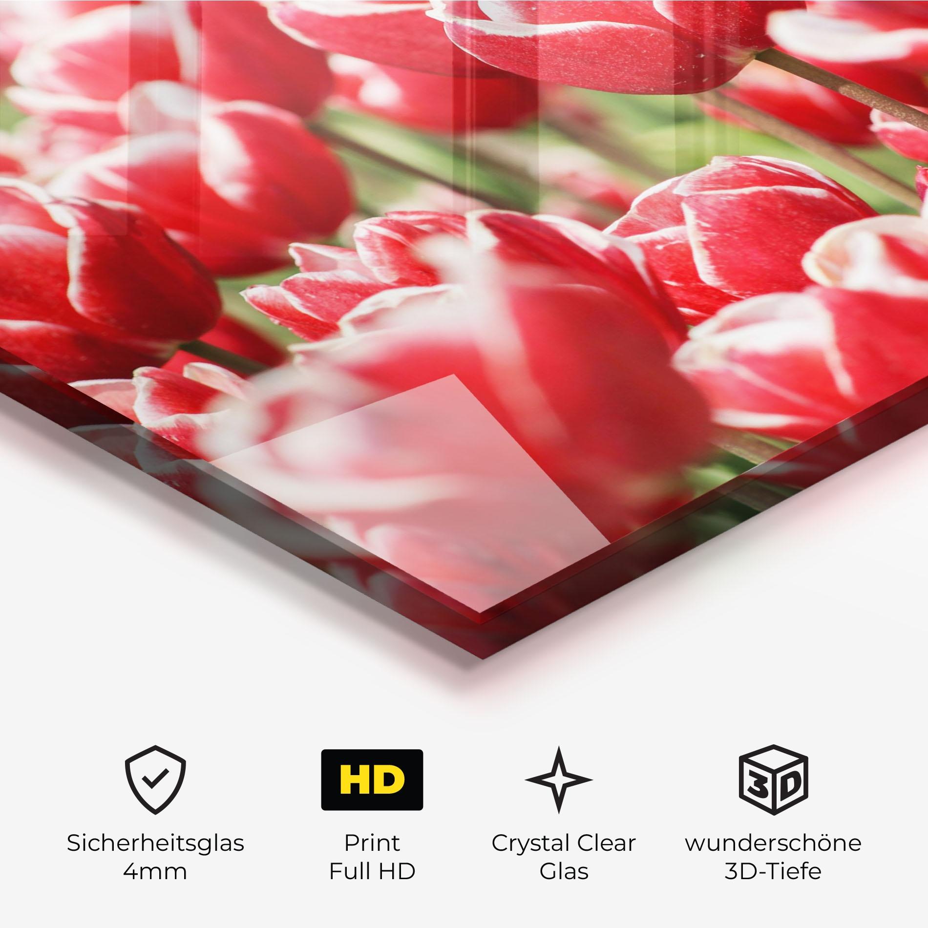 Glasbild Red White Tulips mockup 3