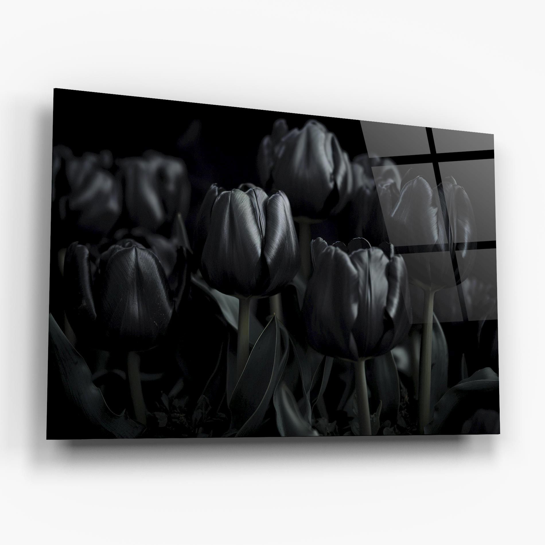 Black Tulips mockup 6
