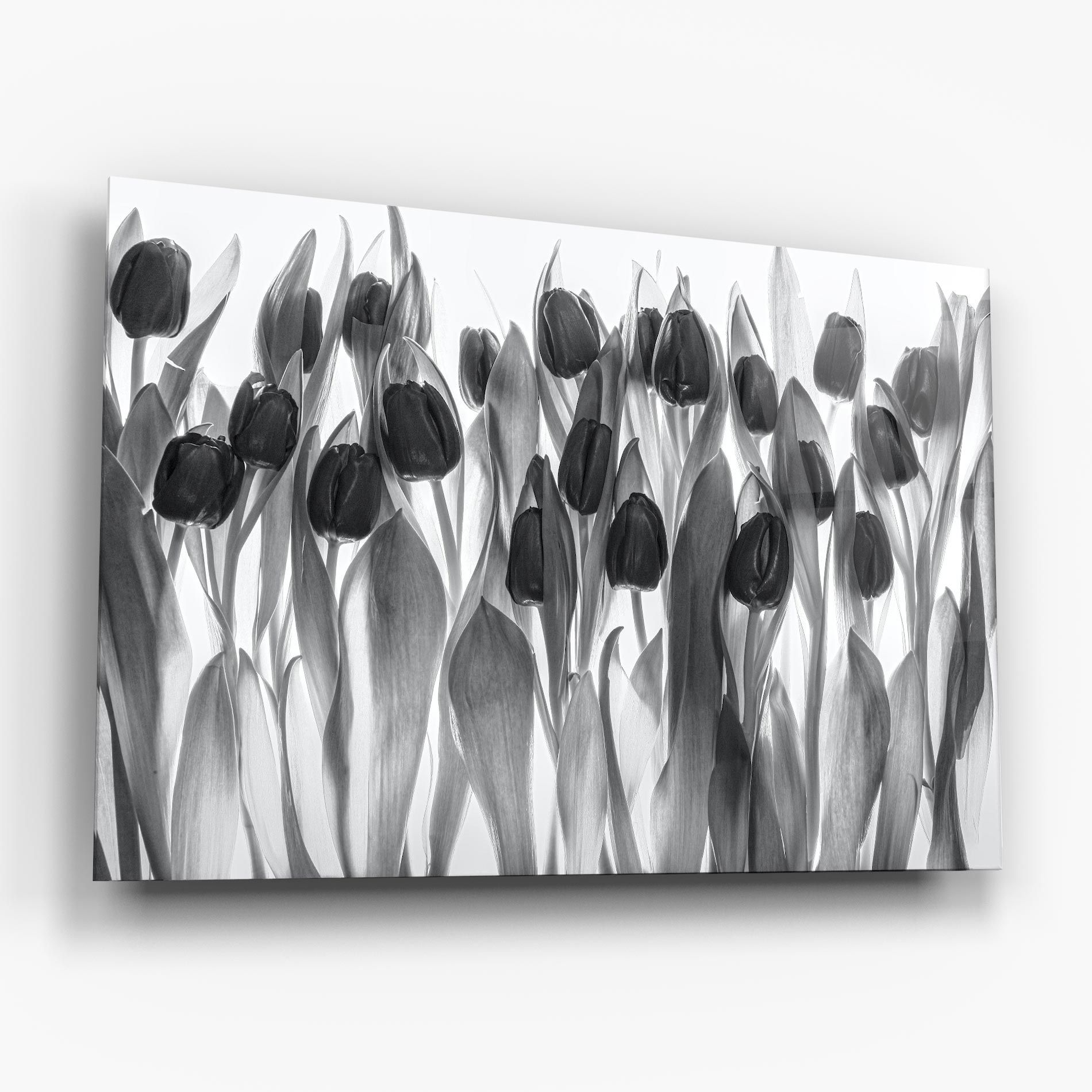 Grey Tulips mockup 6