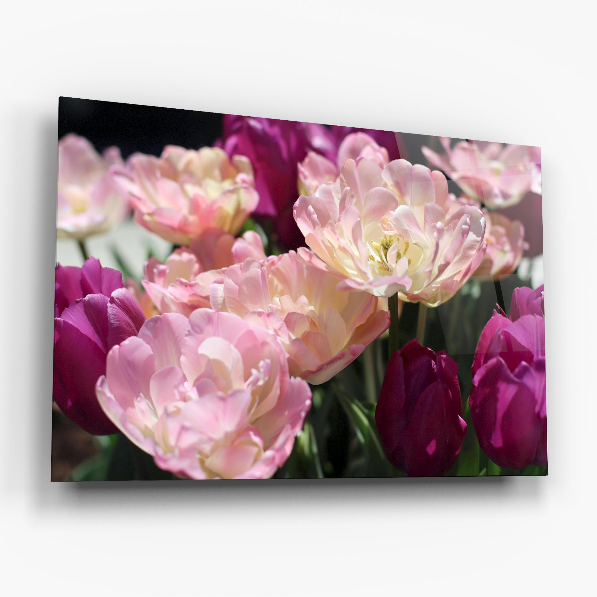 Glasbild Opened Tulips mockup 6