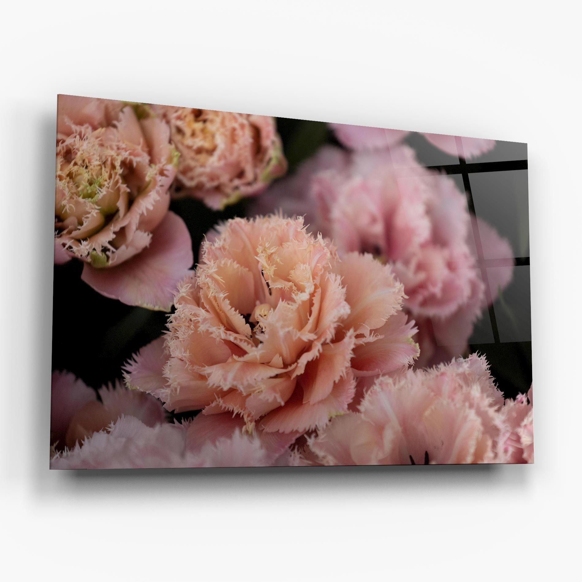 Pastel Fringed Tulips mockup 6