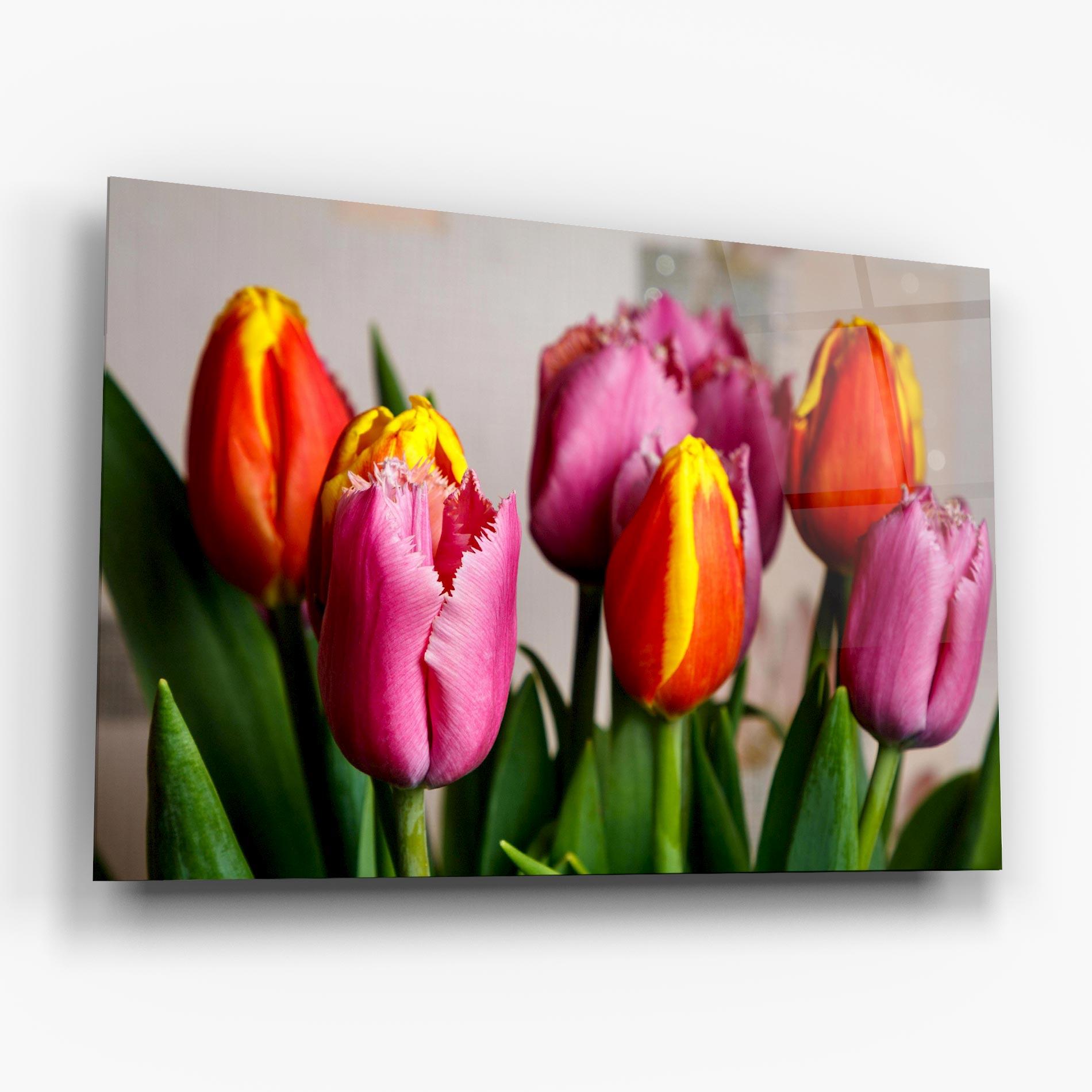 Glasbild Pink Orange Tulips mockup 6
