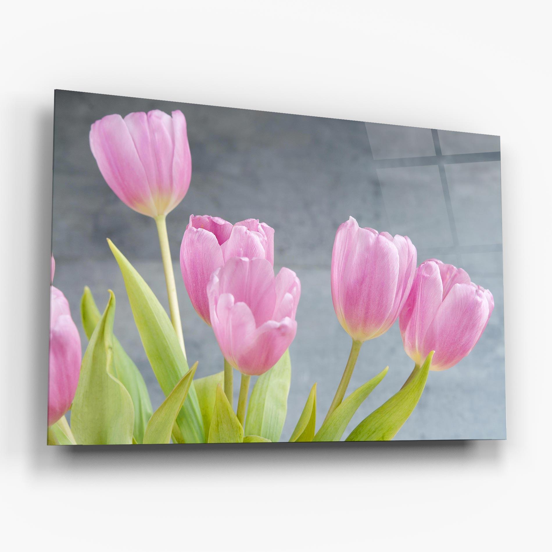 Glasbild Pink Pastel Tulip On Grey mockup 6