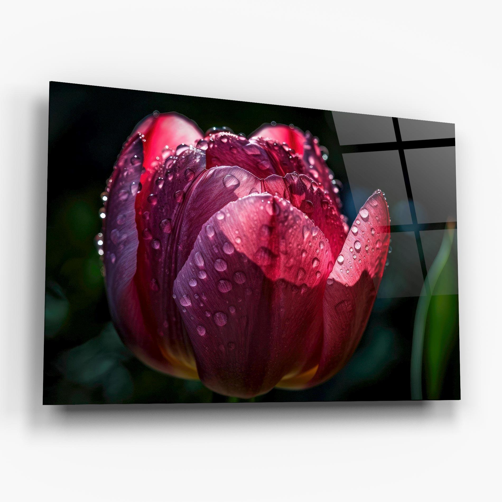 Glasbild Pink Tulip After Rain mockup 6
