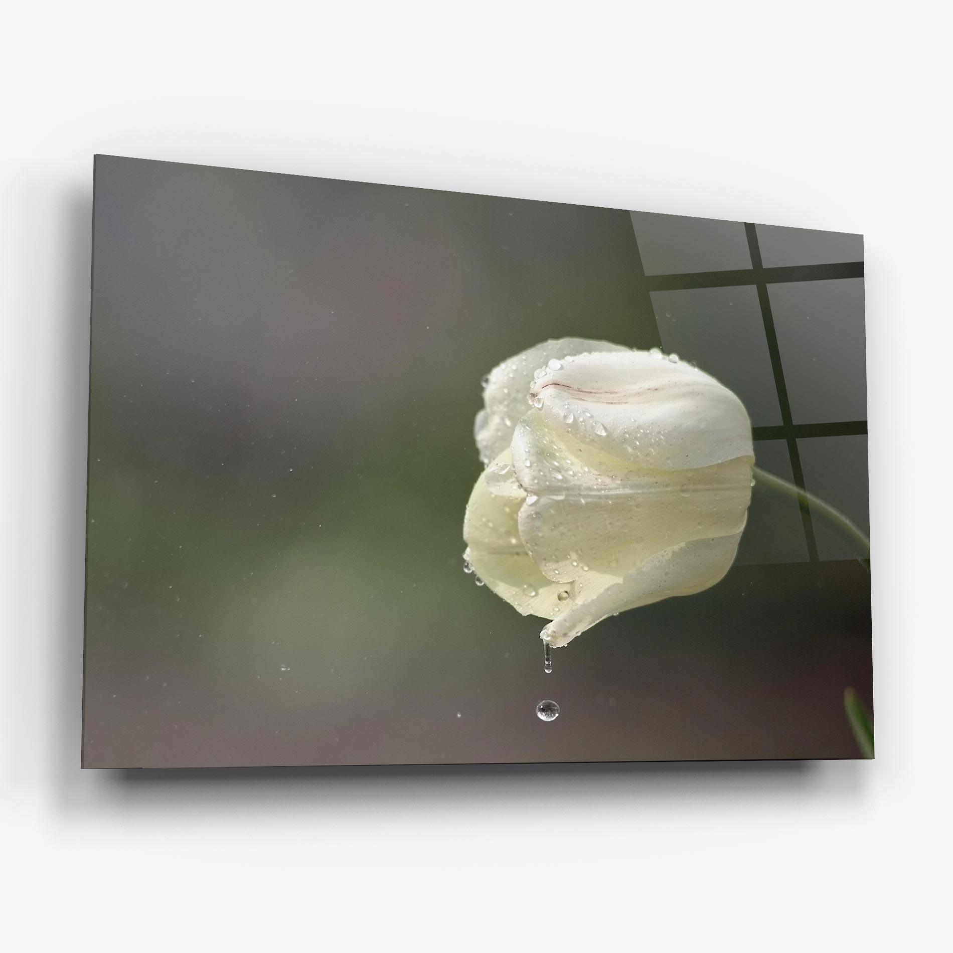 Glasbild White Single Tulip mockup 6