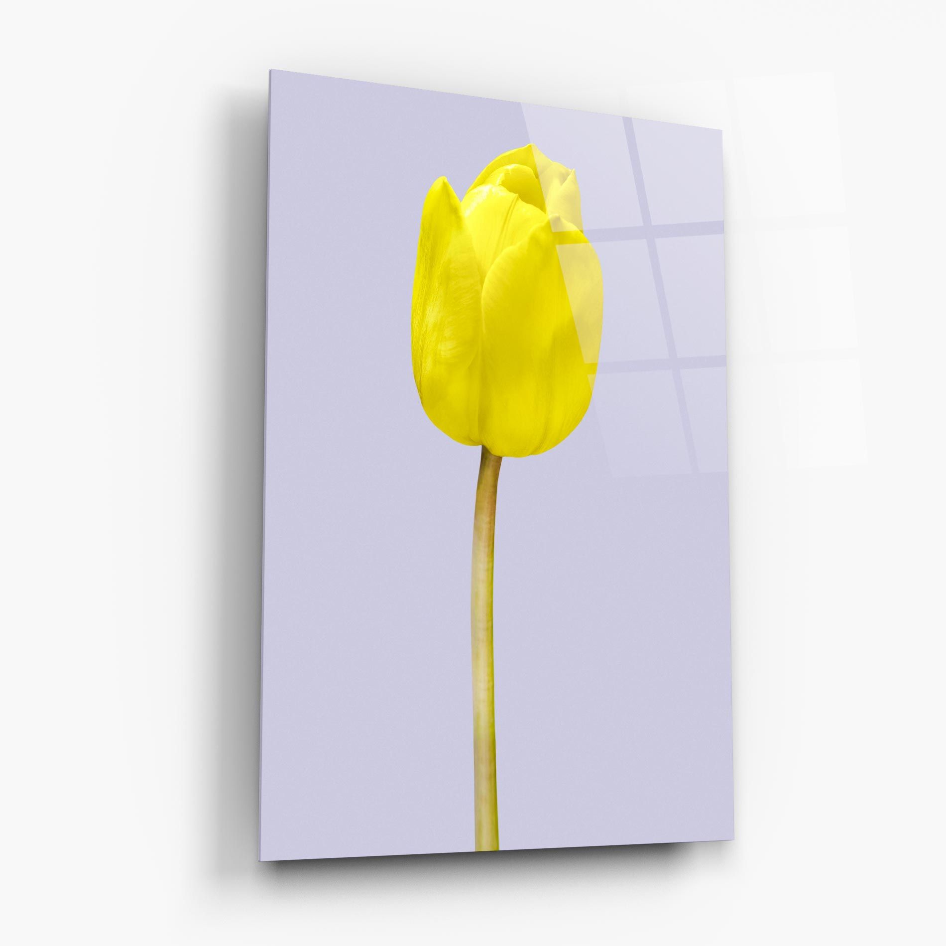 One Yellow Tulip mockup 6