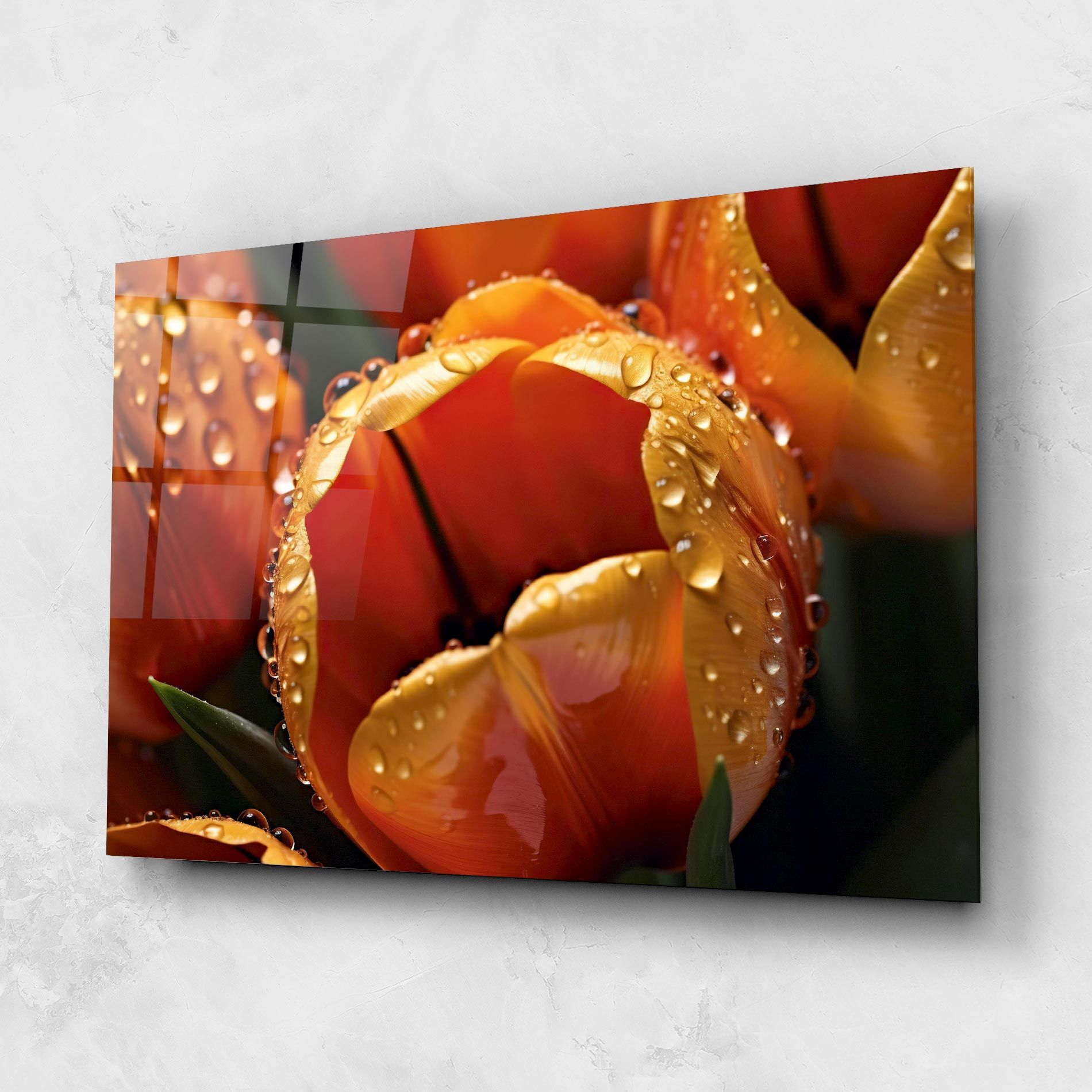 Orange Tulip Water Drops mockup 1