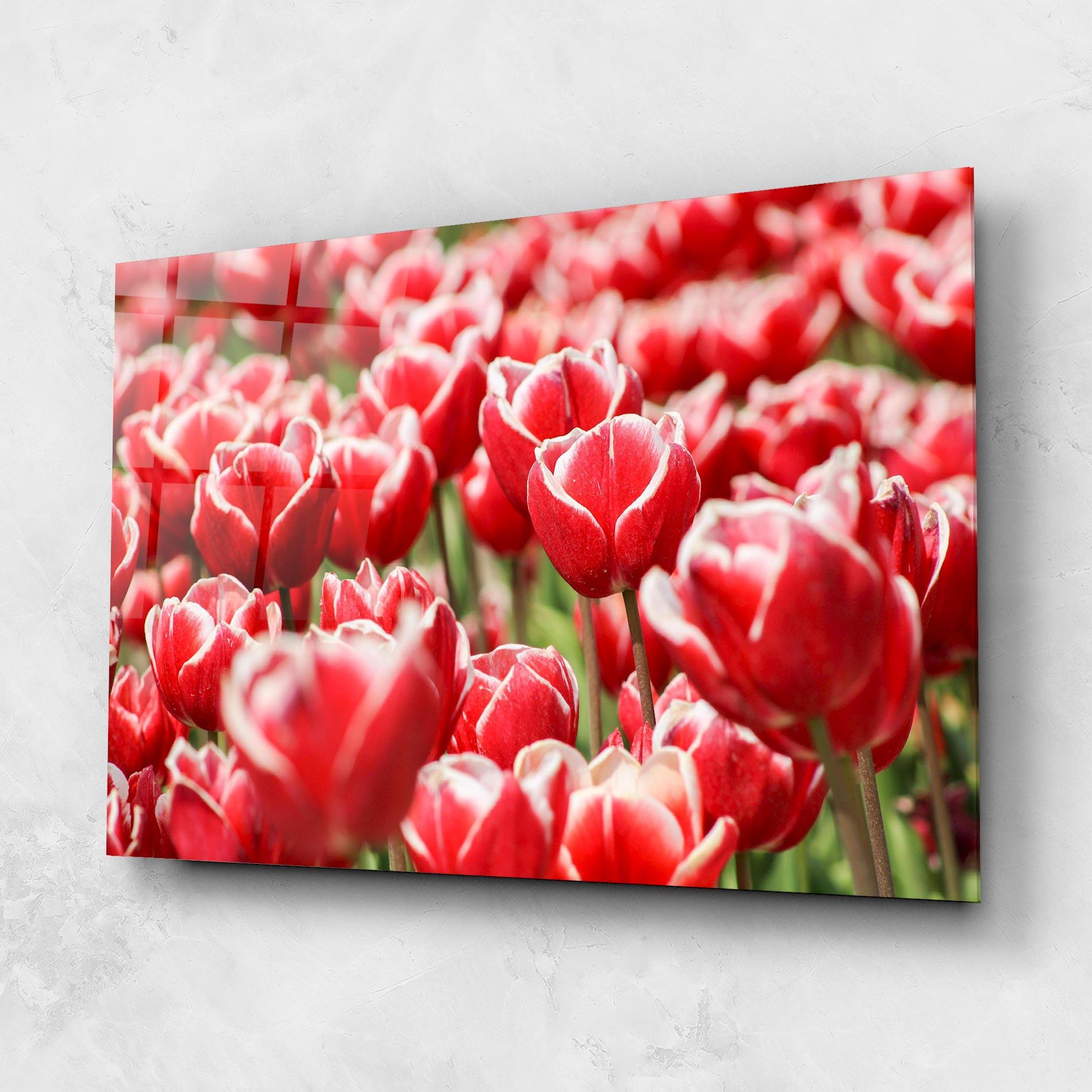 Glasbild Red White Tulips mockup 1