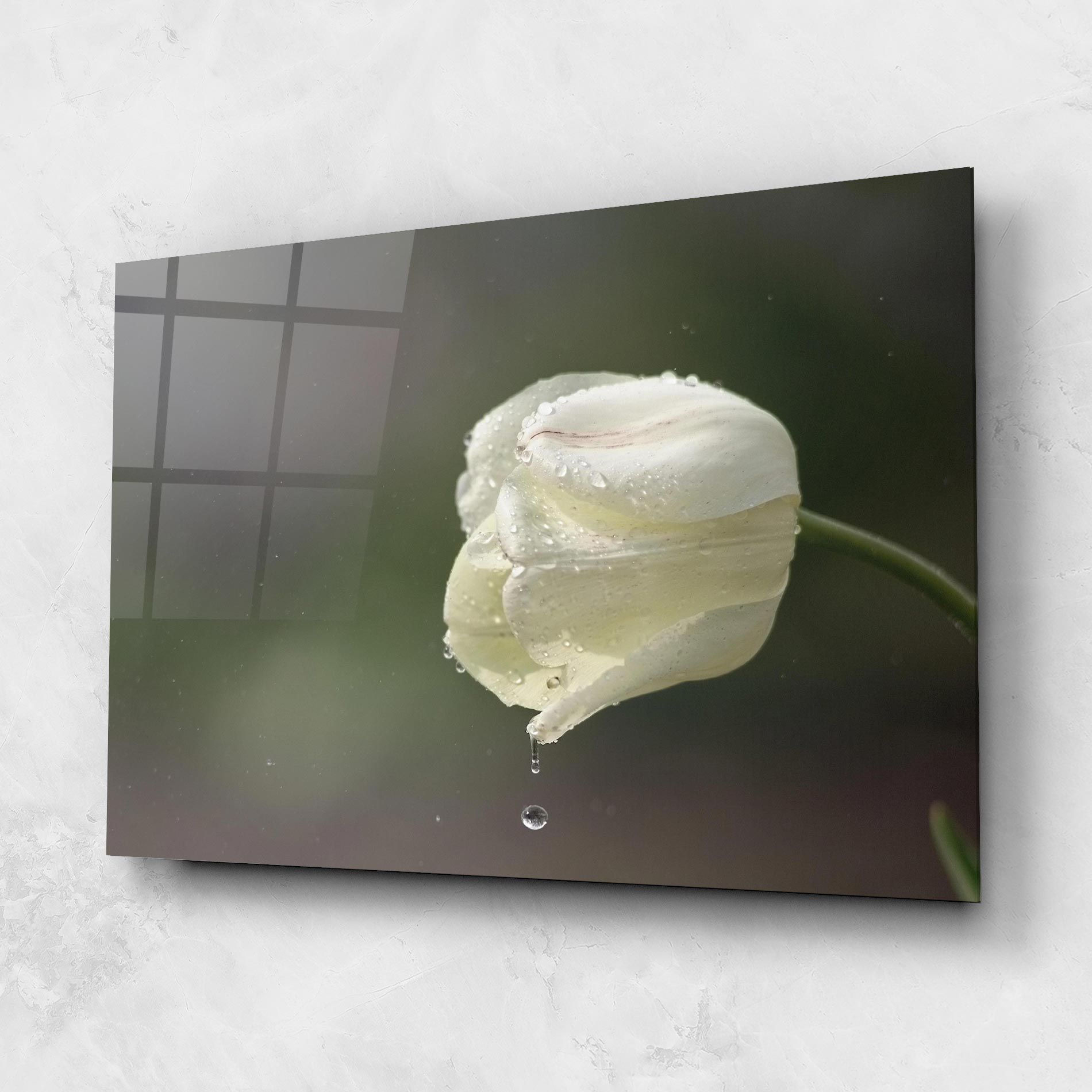 White Single Tulip mockup 1