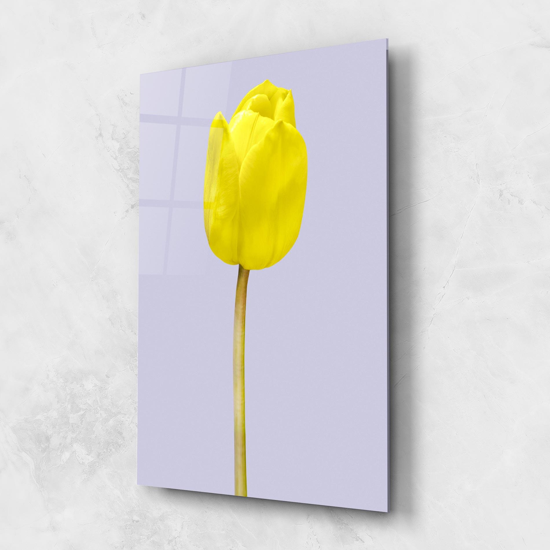 Glasbild One Yellow Tulip mockup 1
