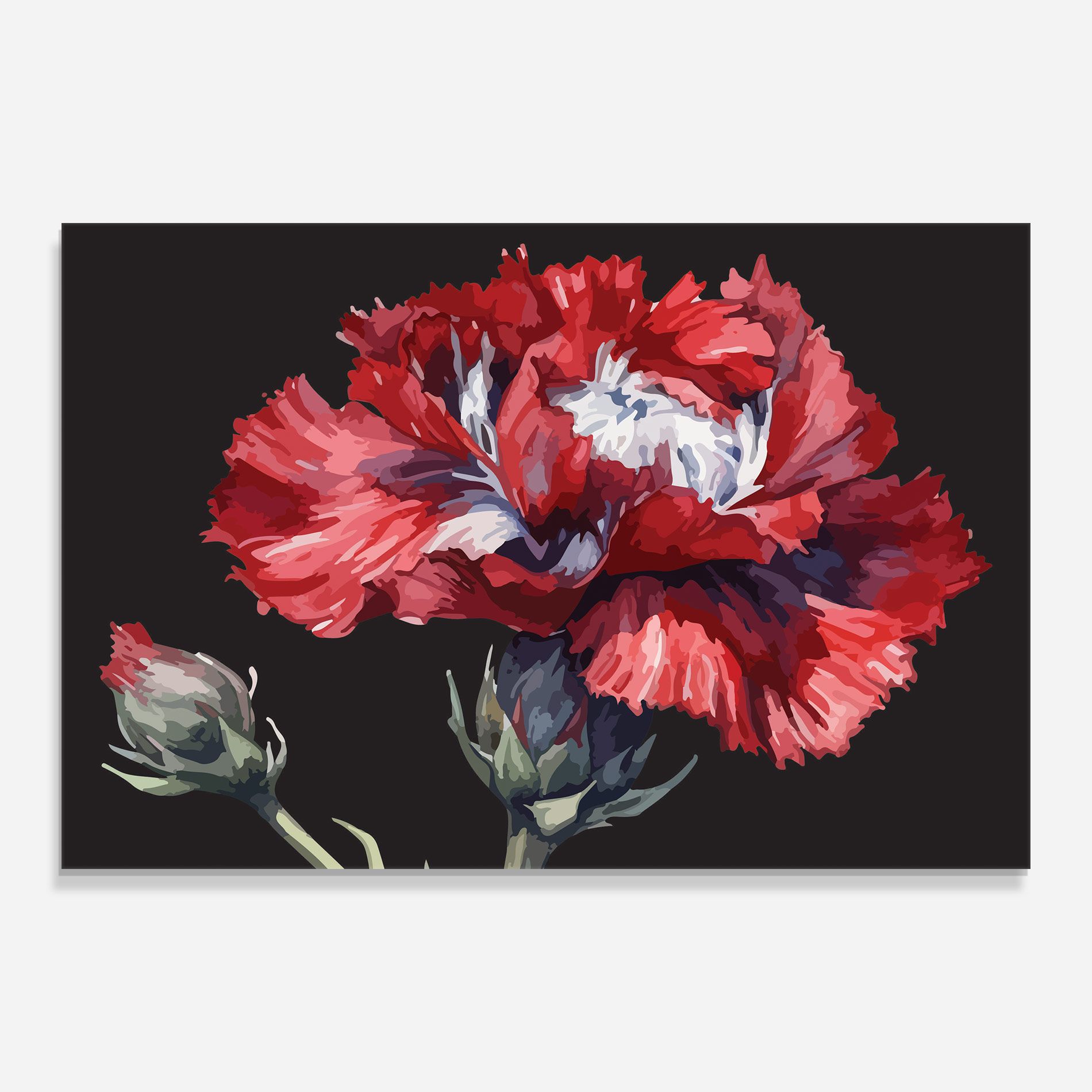 Close Up Poppy mockup 0