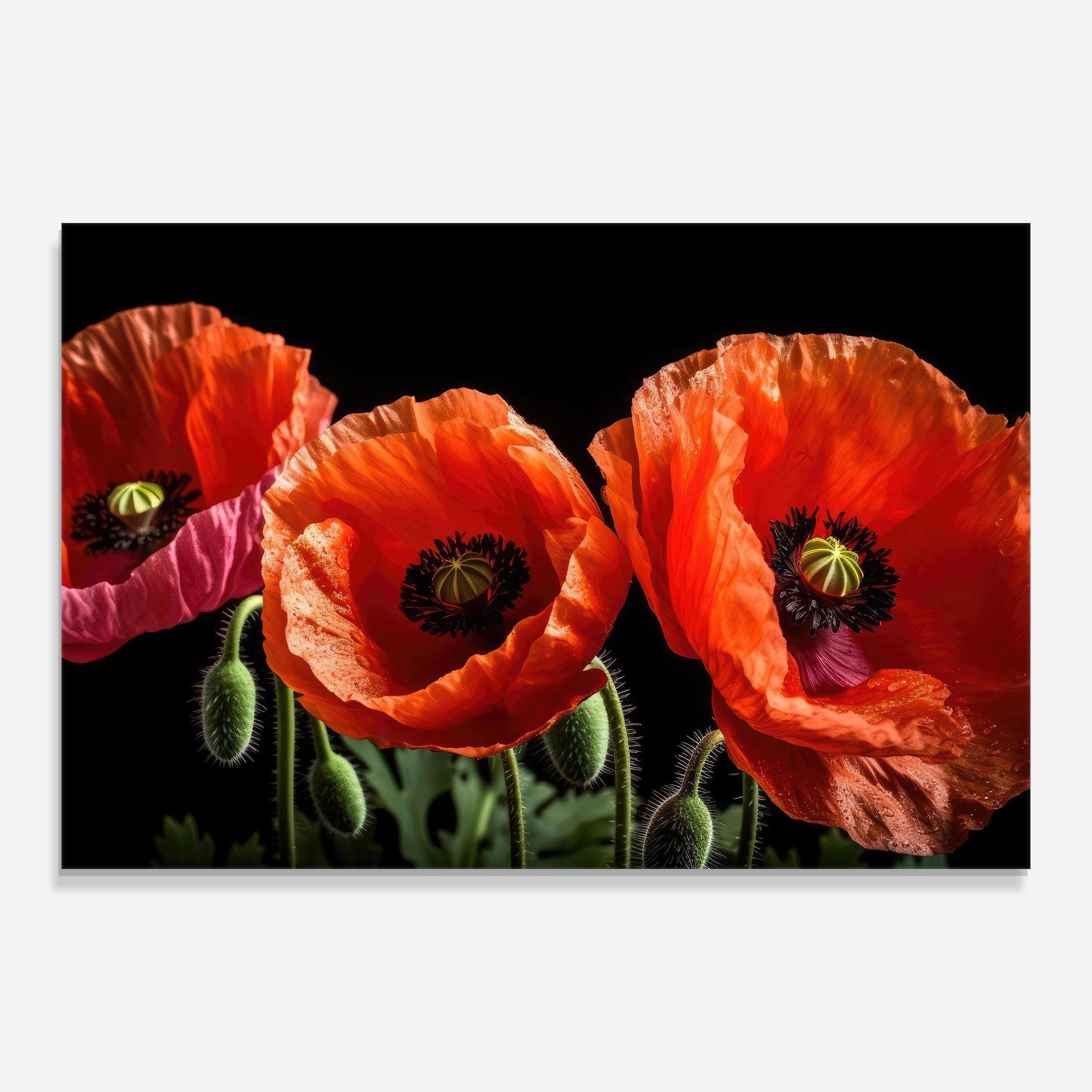 Glasbild Dark Orange Poppies mockup 0