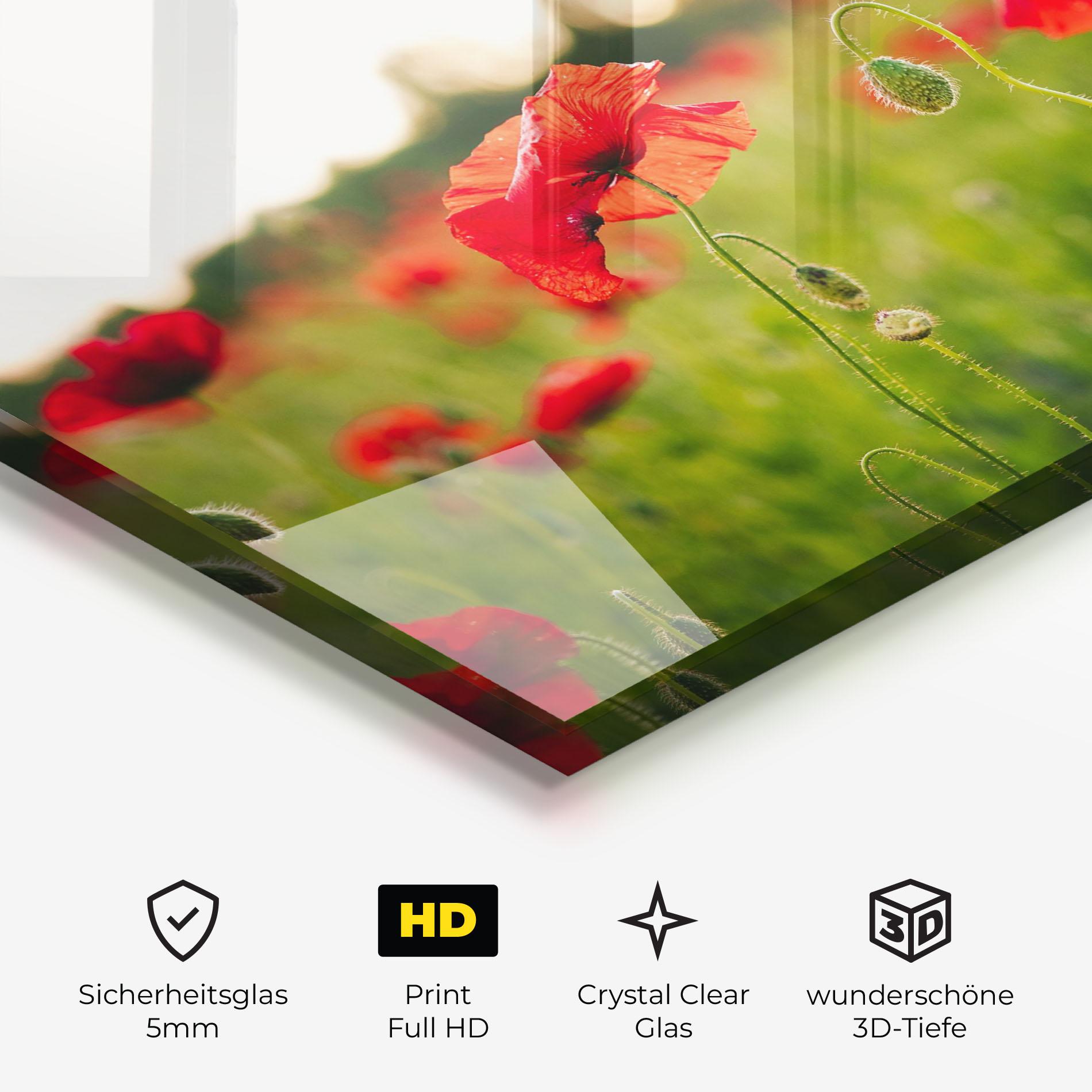 Glasbild Poppies Field mockup 3