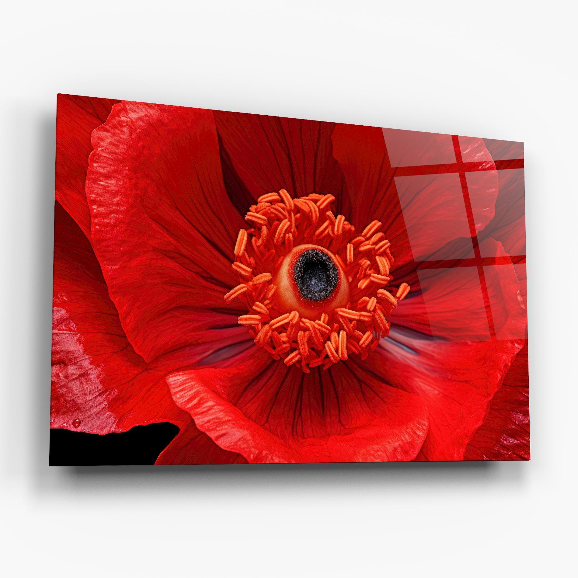 Glasbild Big Poppy Close Up mockup 6