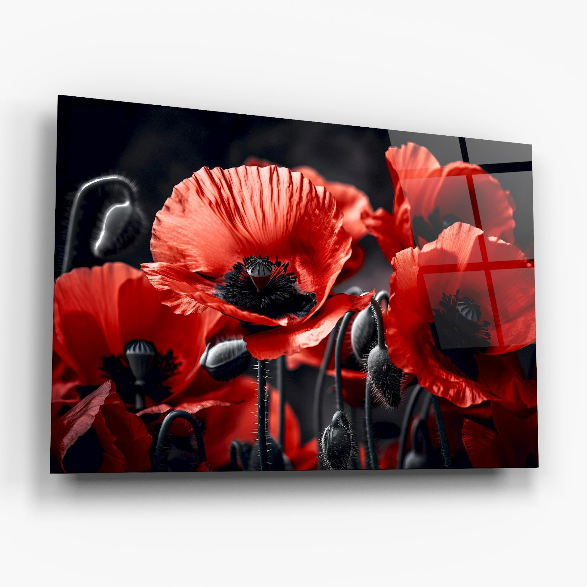 Glasbild Black Red Poppy View mockup 6
