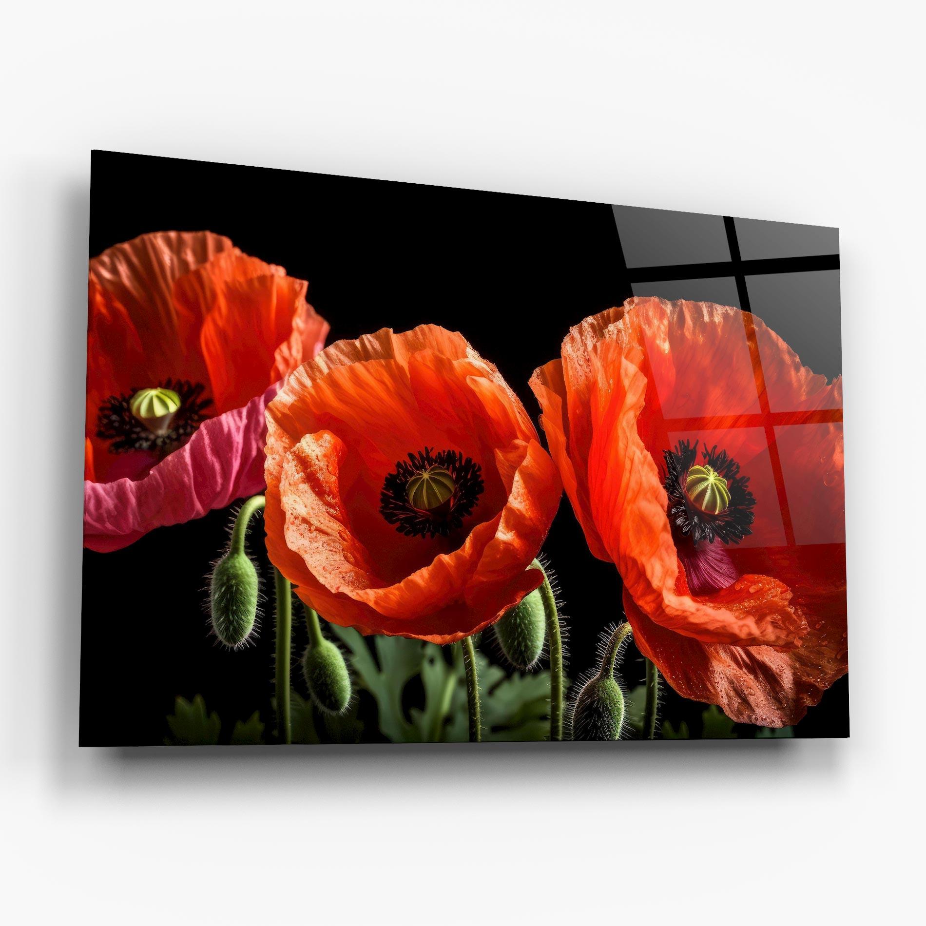 Glasbild Dark Orange Poppies mockup 6