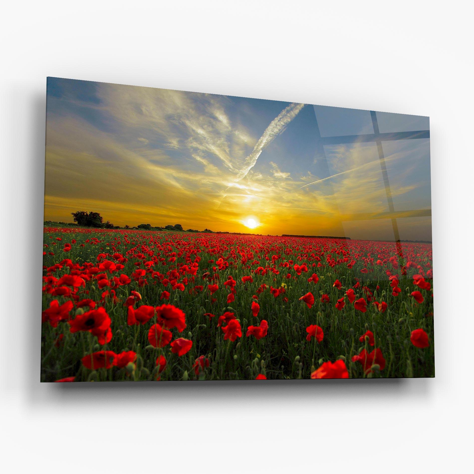 Glasbild Poppies Sunset mockup 6