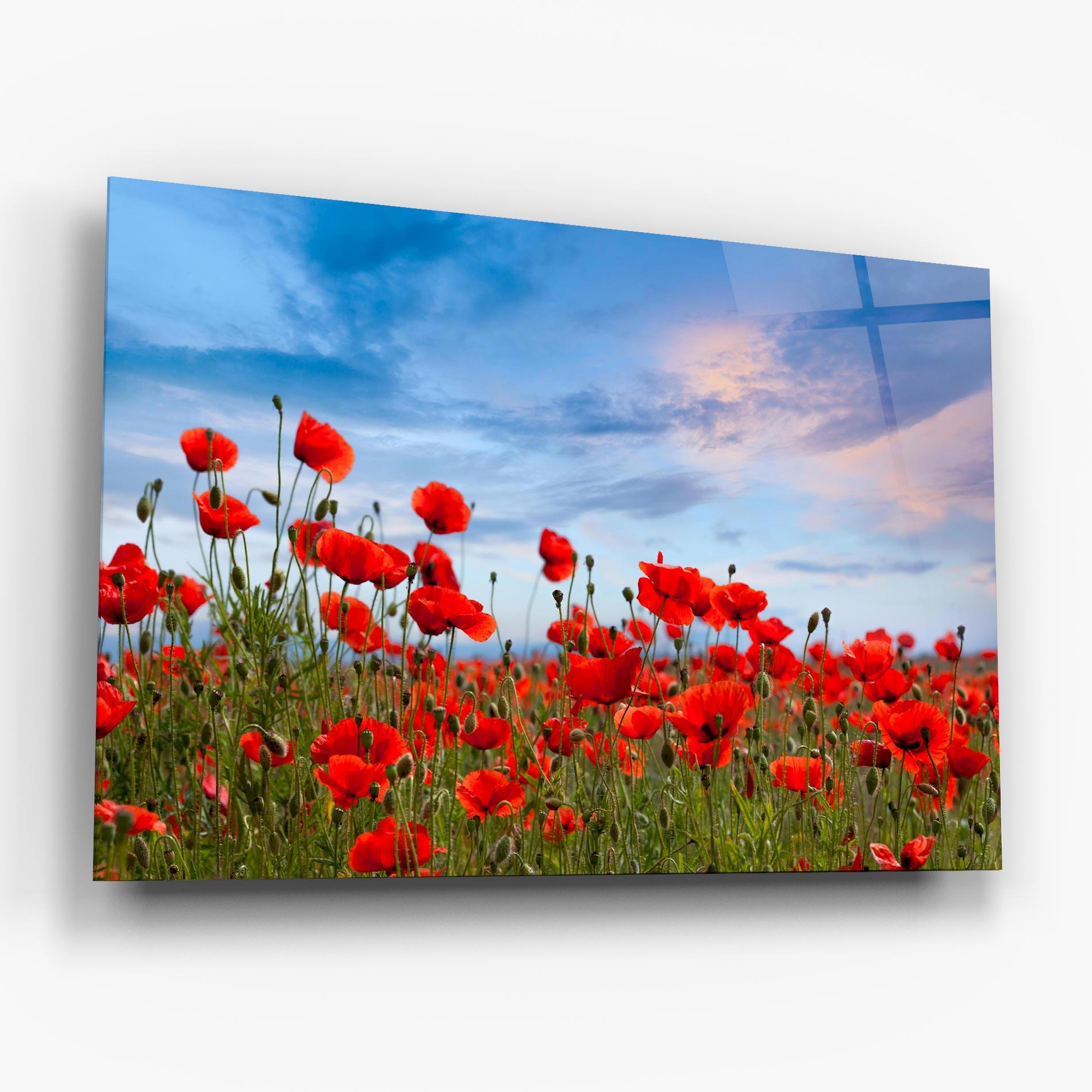 Glasbild Poppy Field mockup 6
