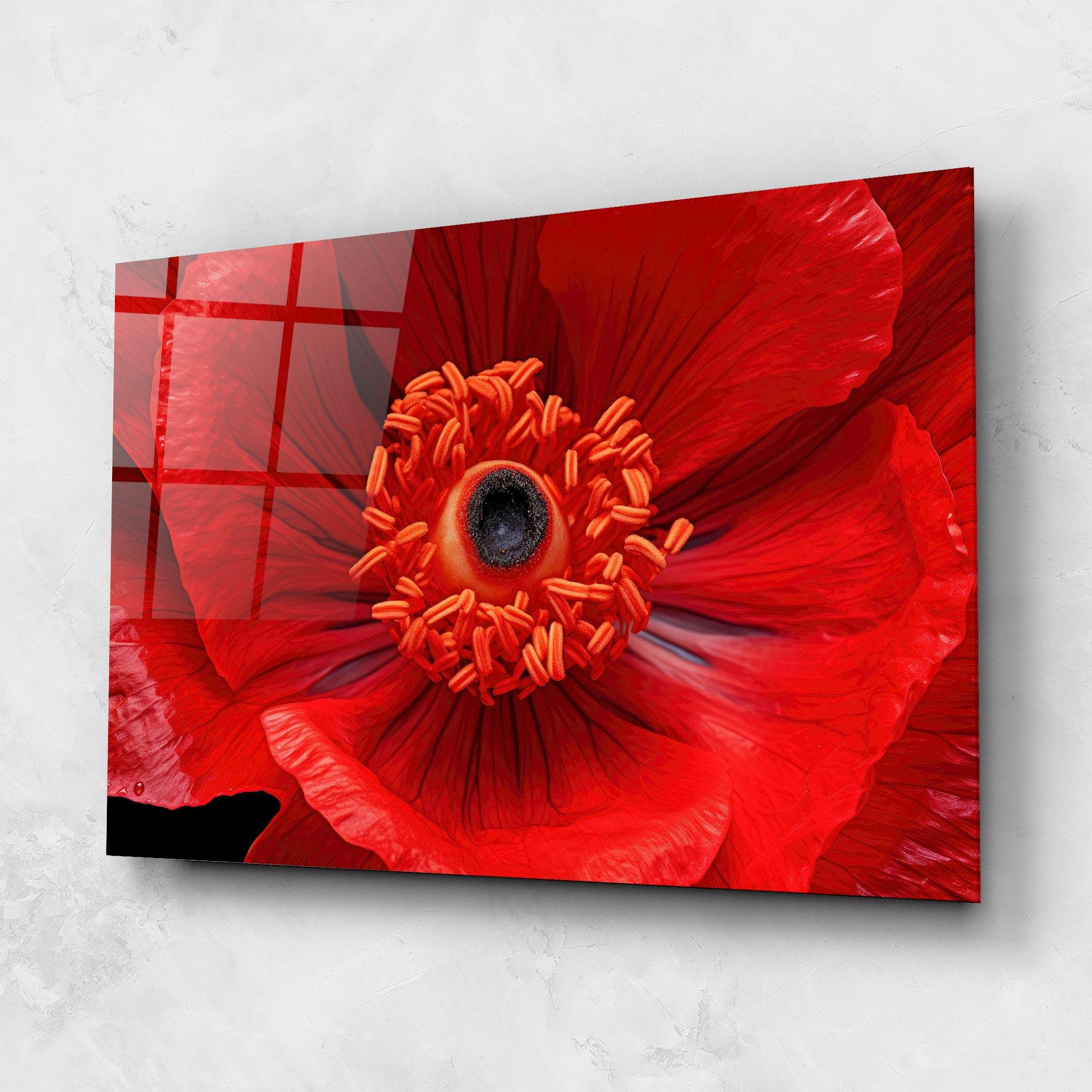 Glasbild Big Poppy Close Up mockup 1